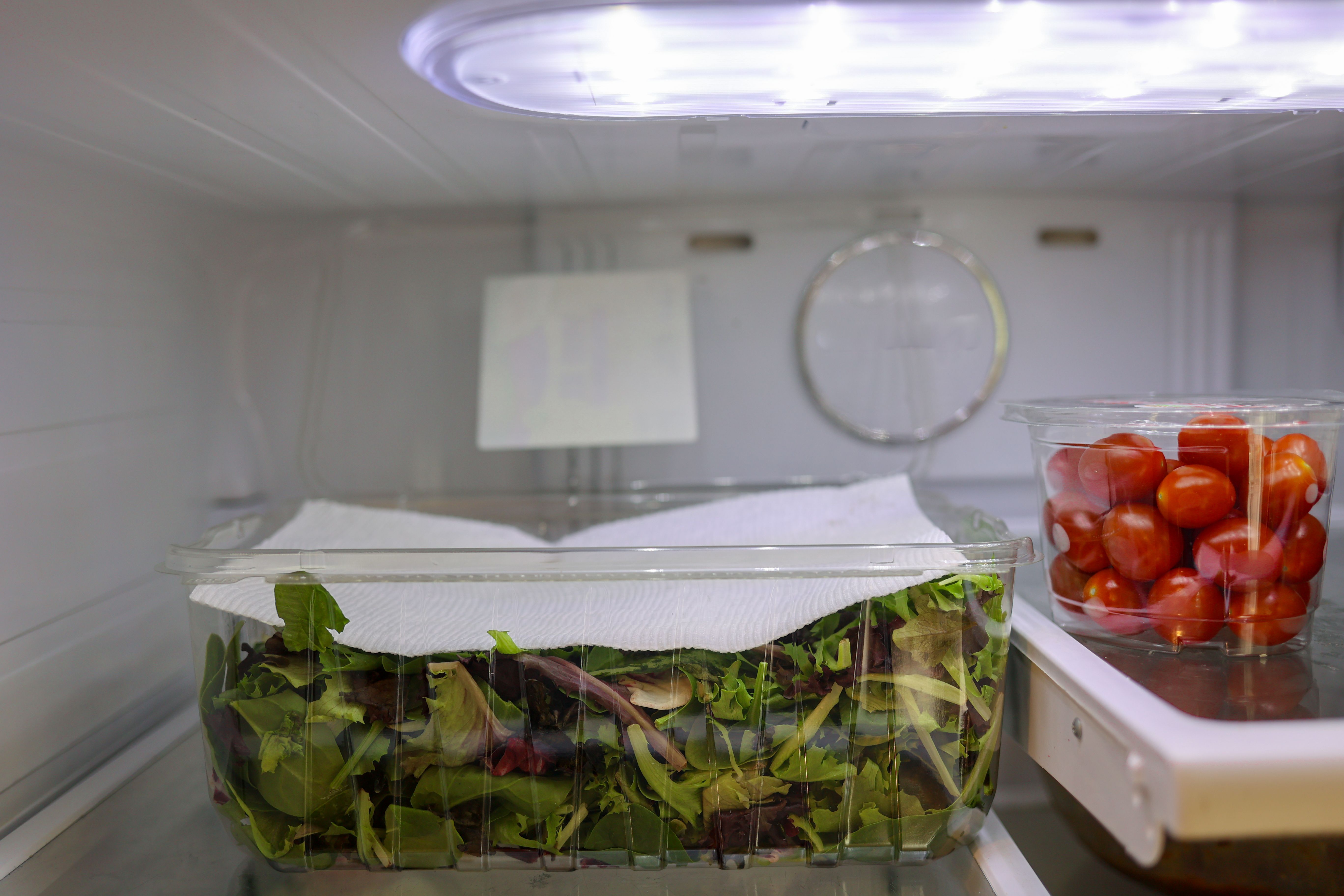 refrigerator condensation