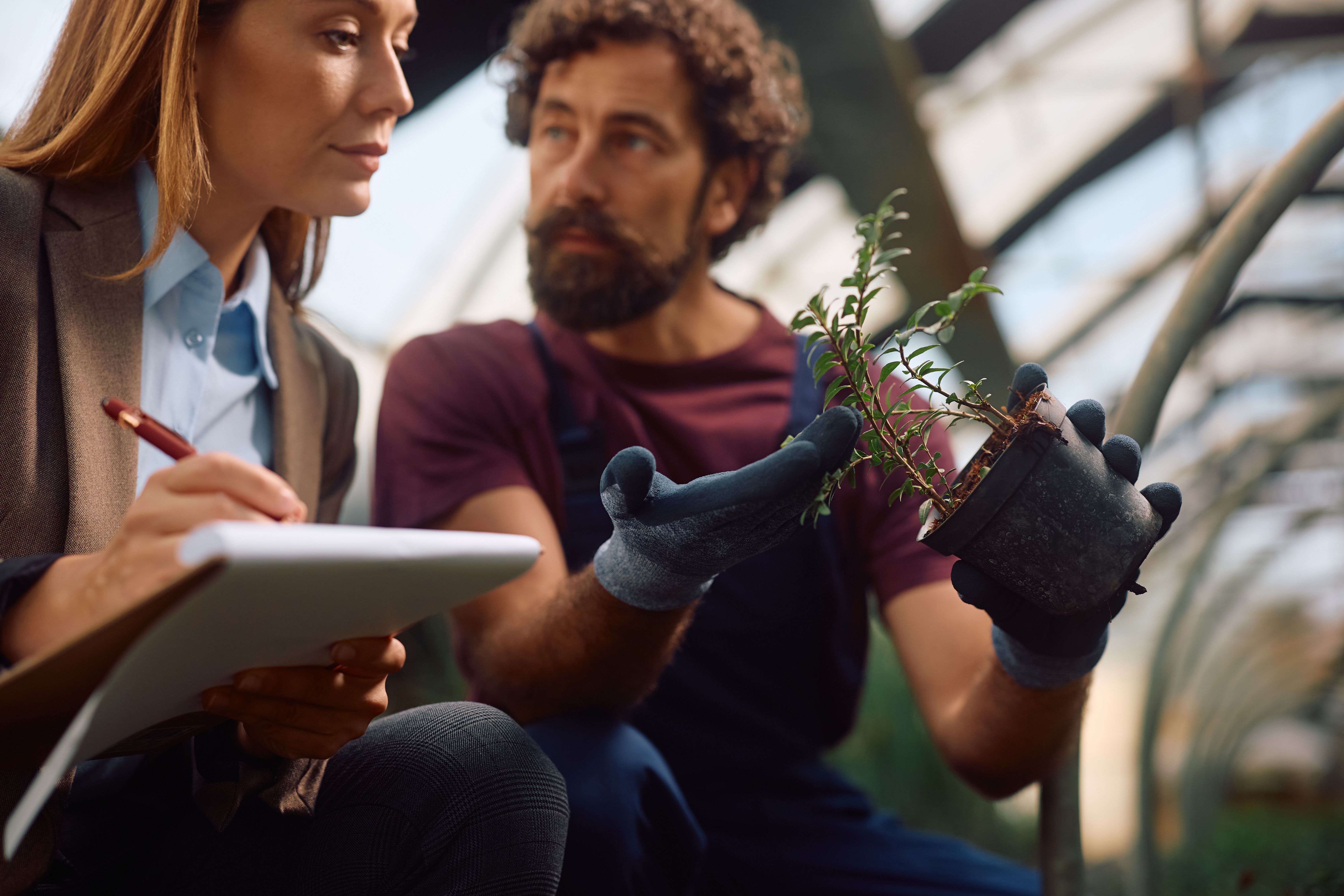 landscape architects