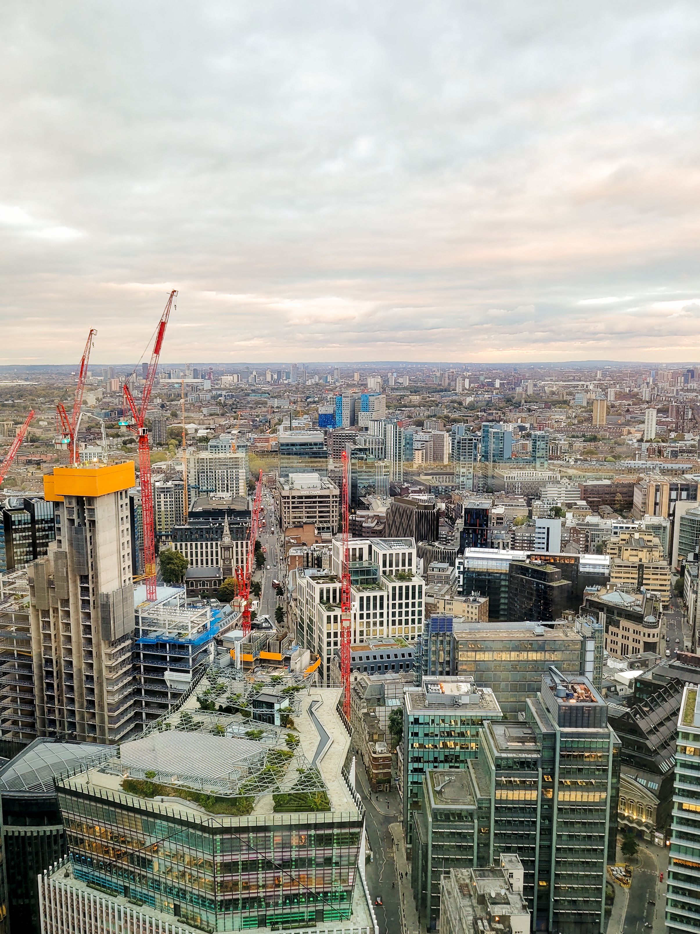 green roofs London