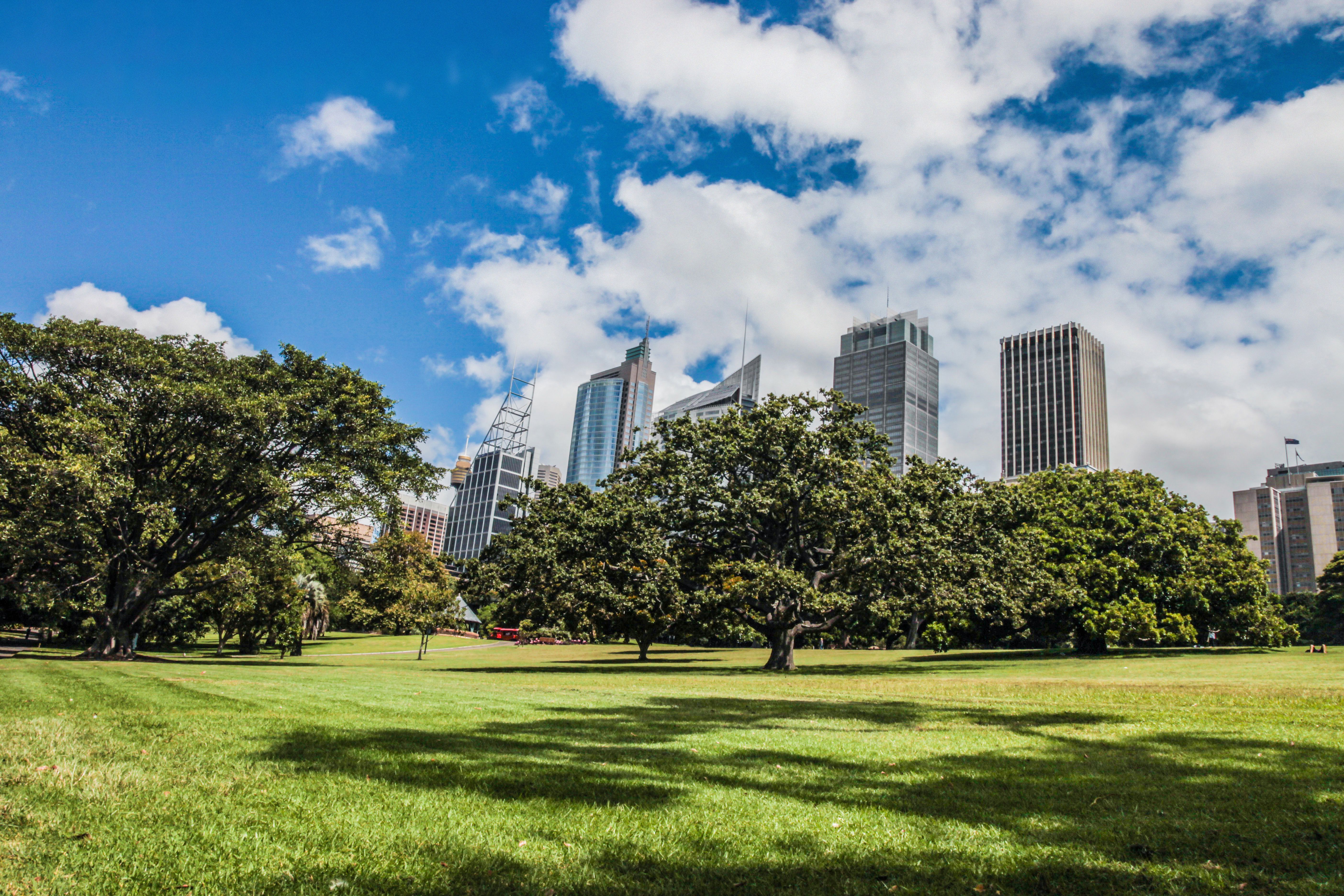 Sydney CBD and Royal Botanic Garden