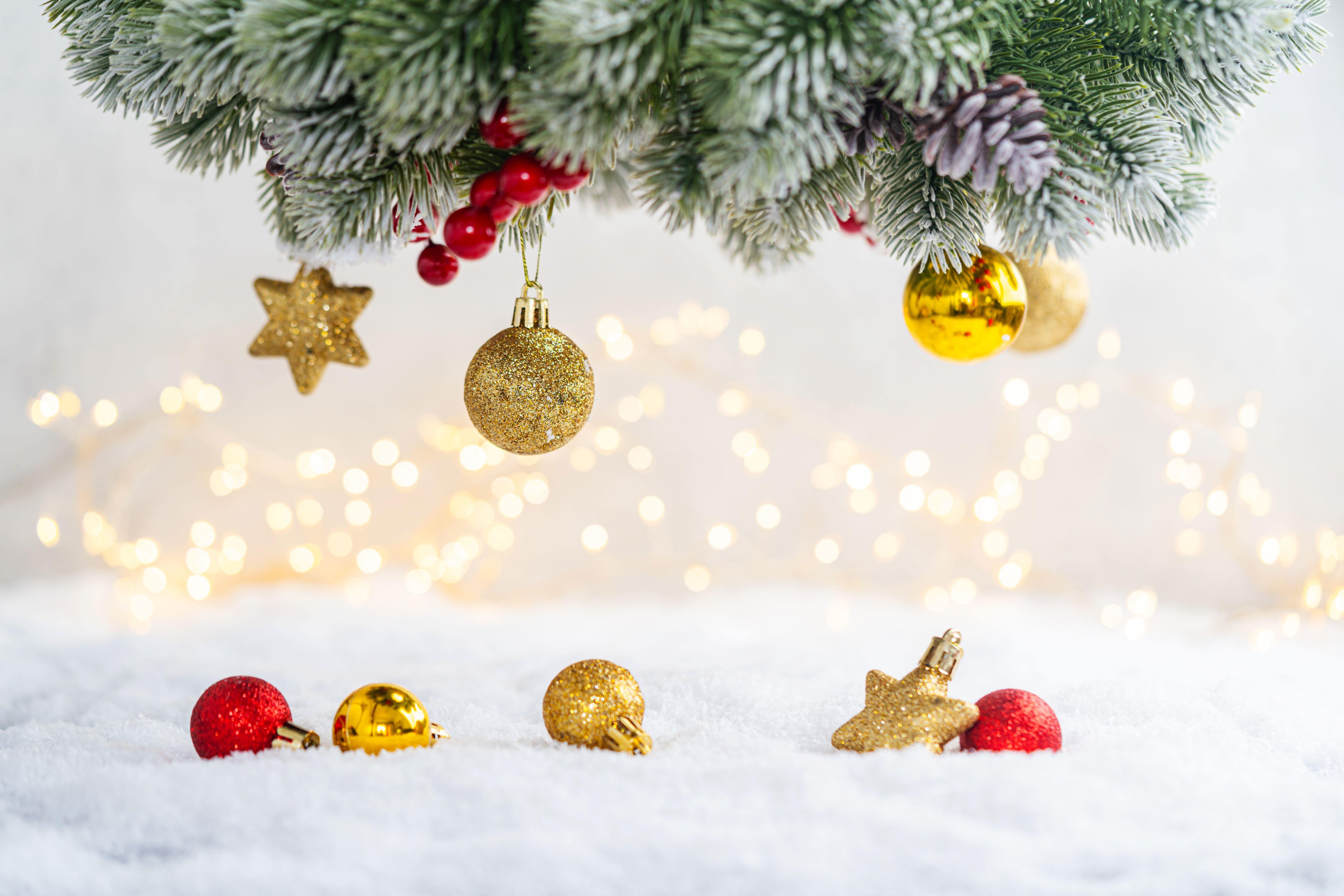 eco-friendly Christmas lights