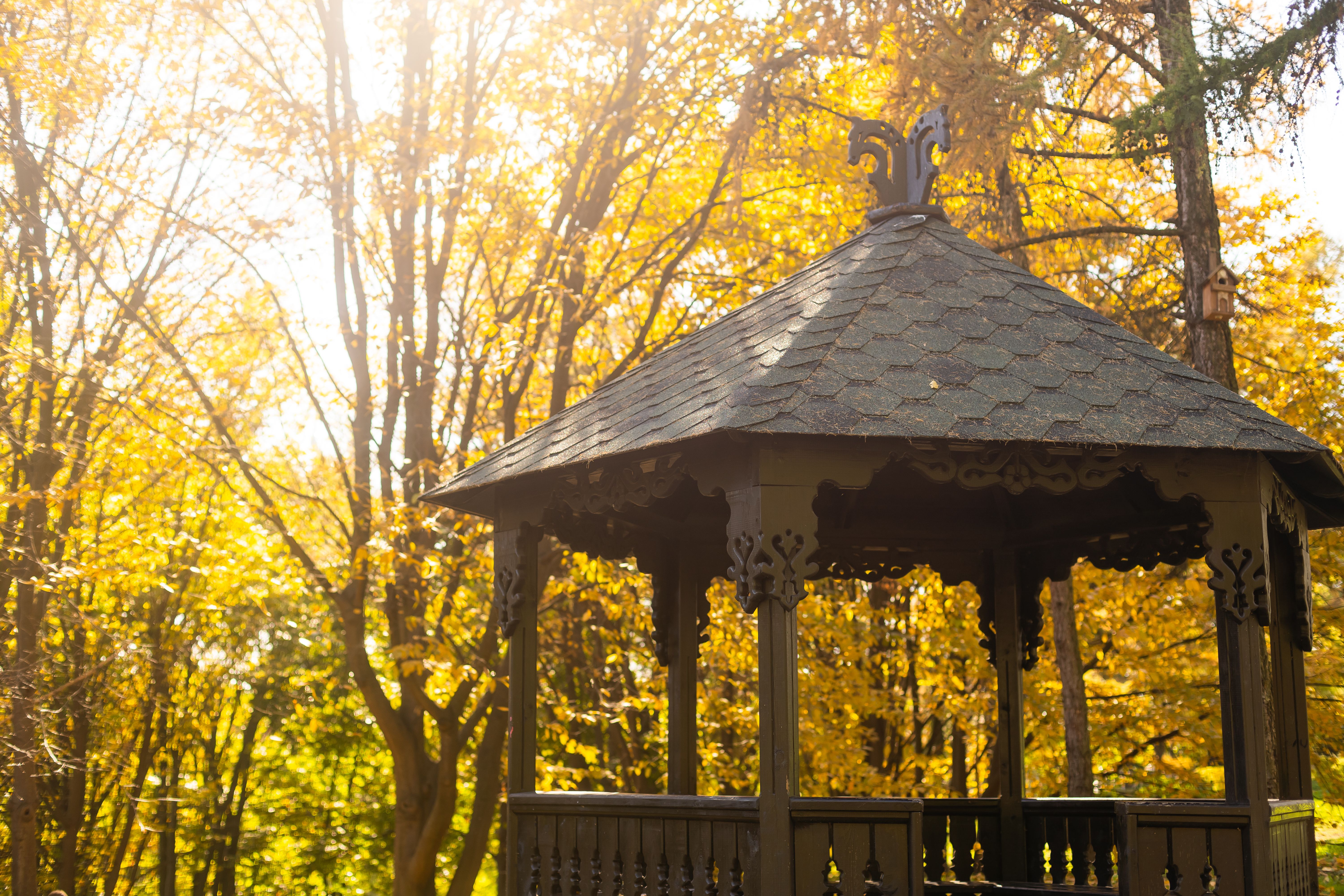 hardtop gazebo