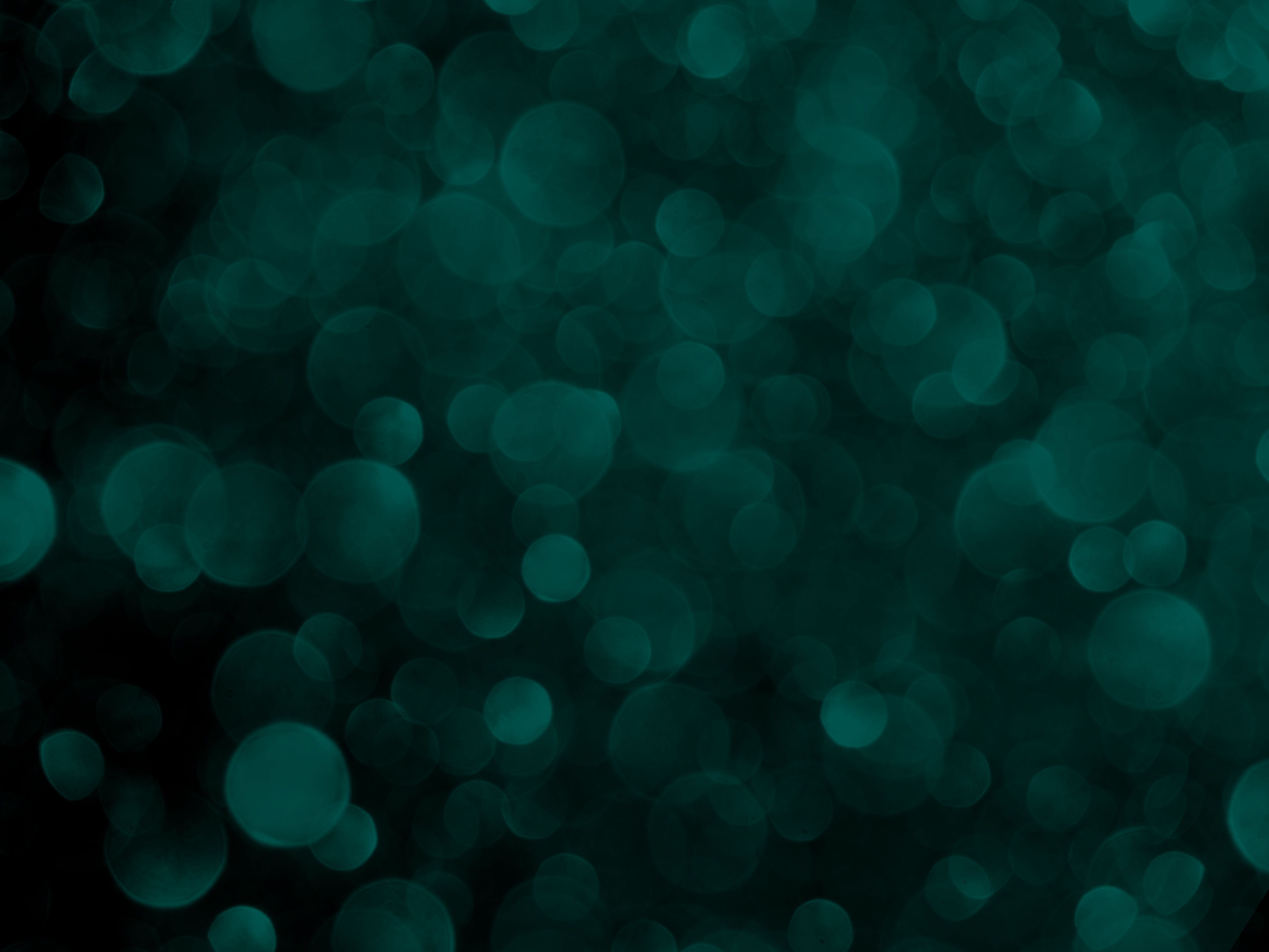 eco-friendly entertainment