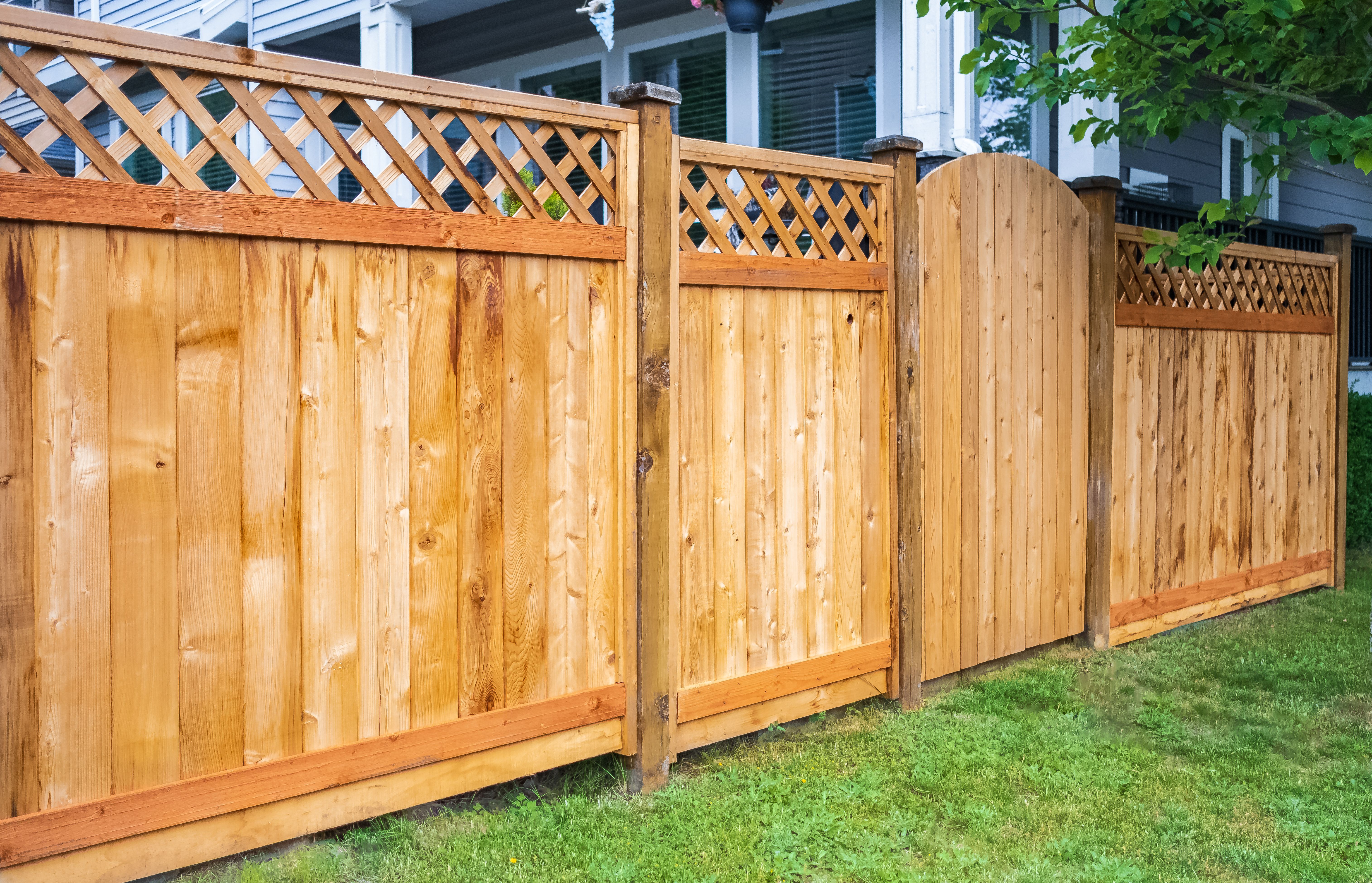 backyard privacy fence