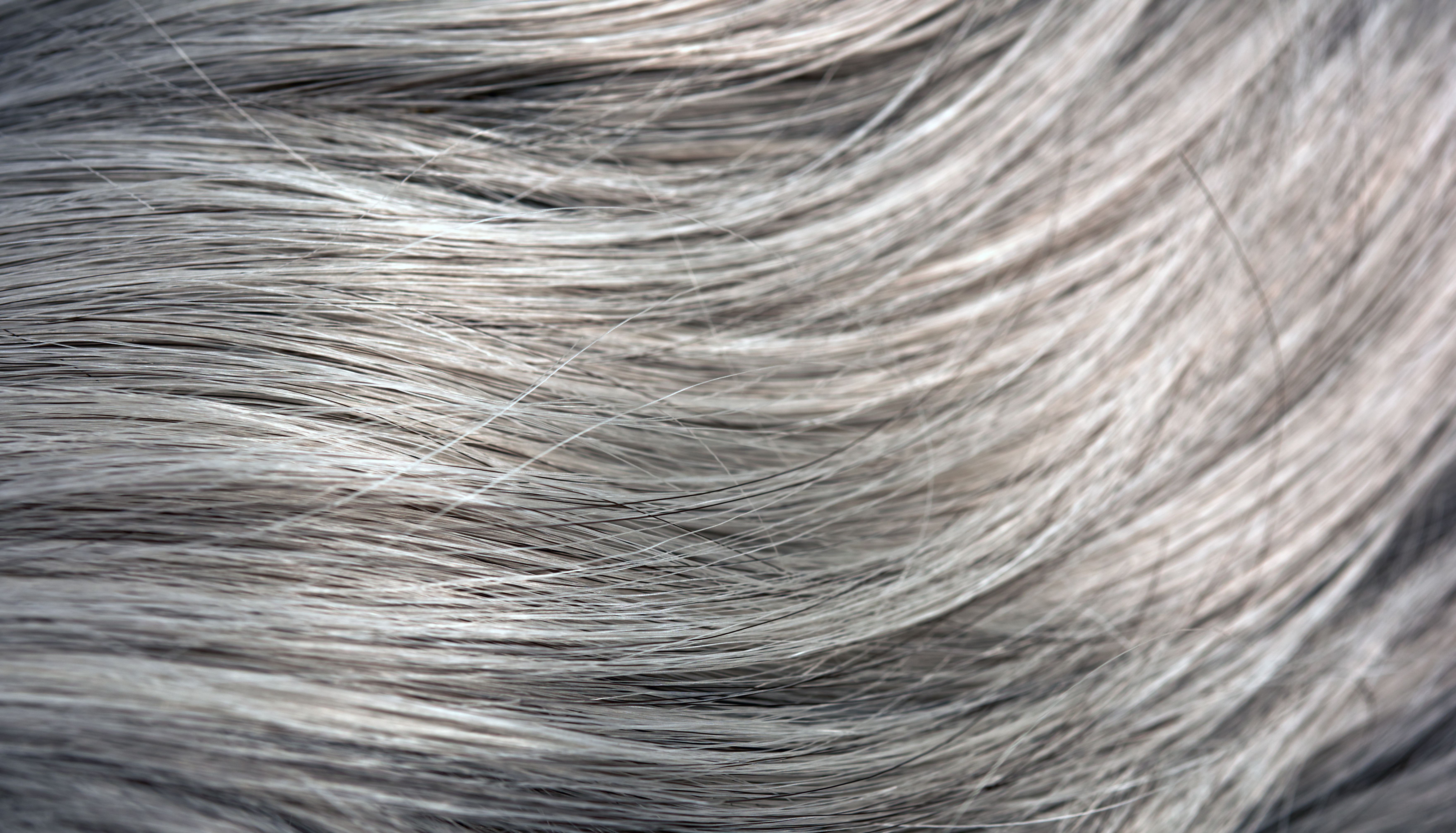 gray hair
