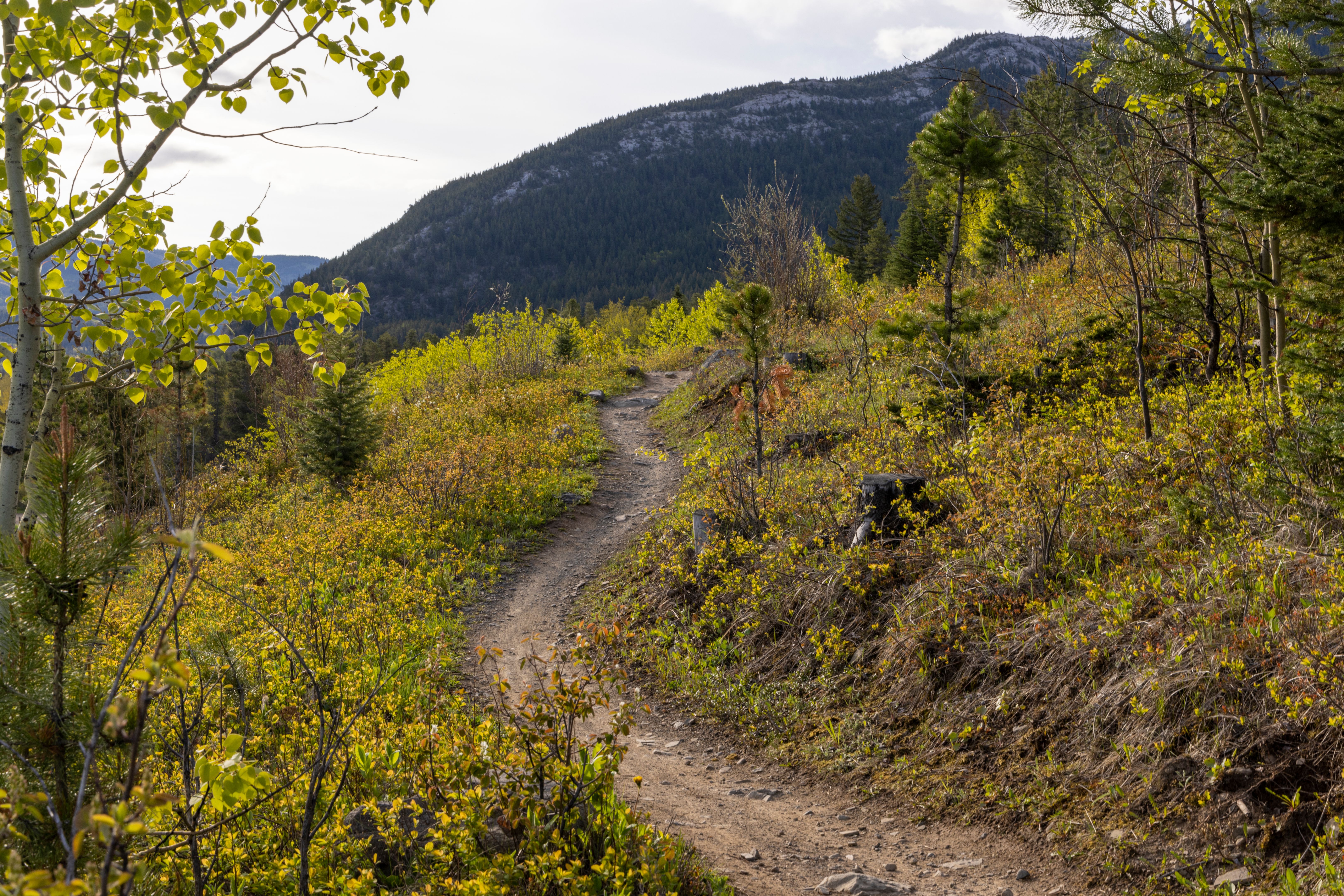 mountain trail