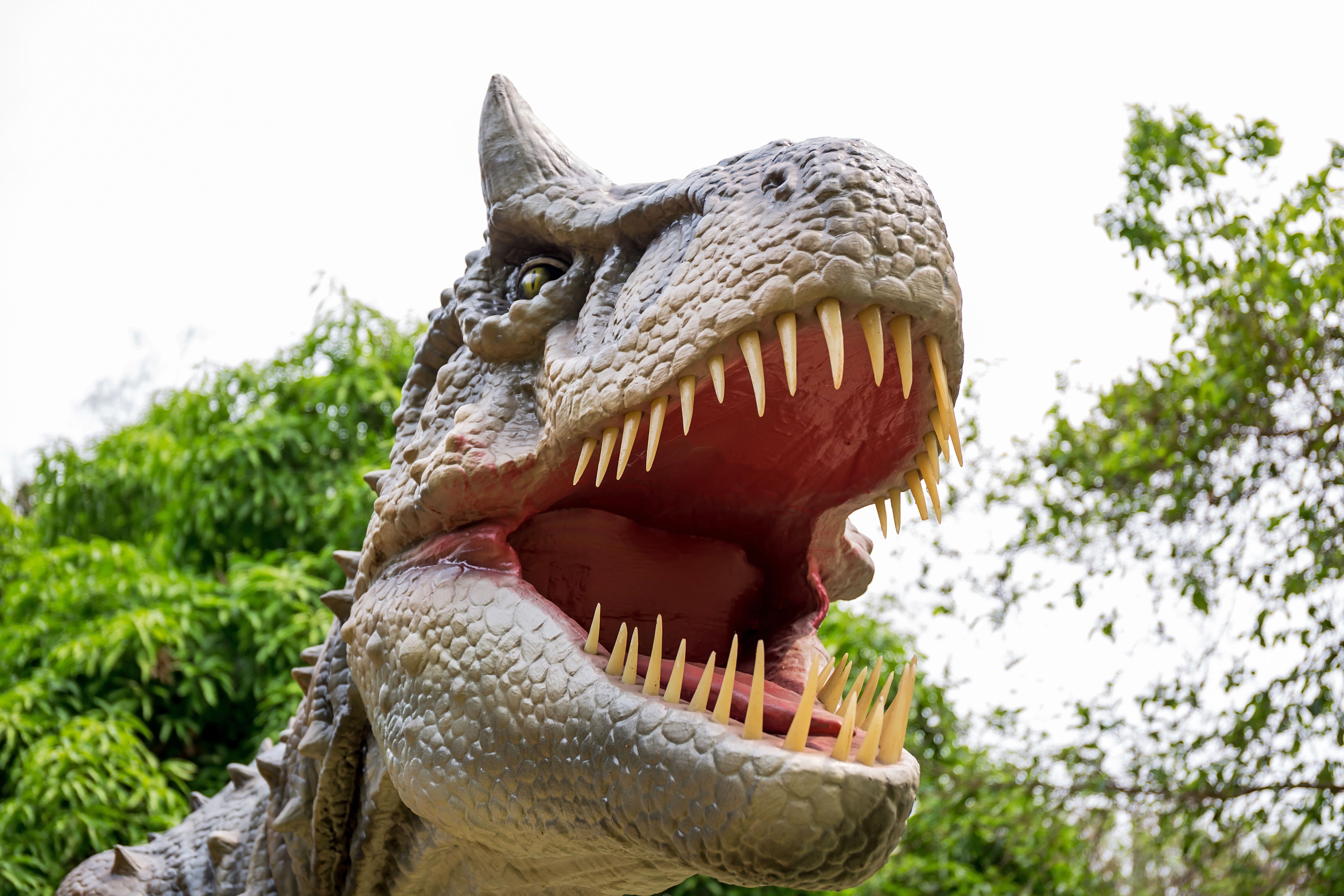 Dinosaur carnotaurus and monster model