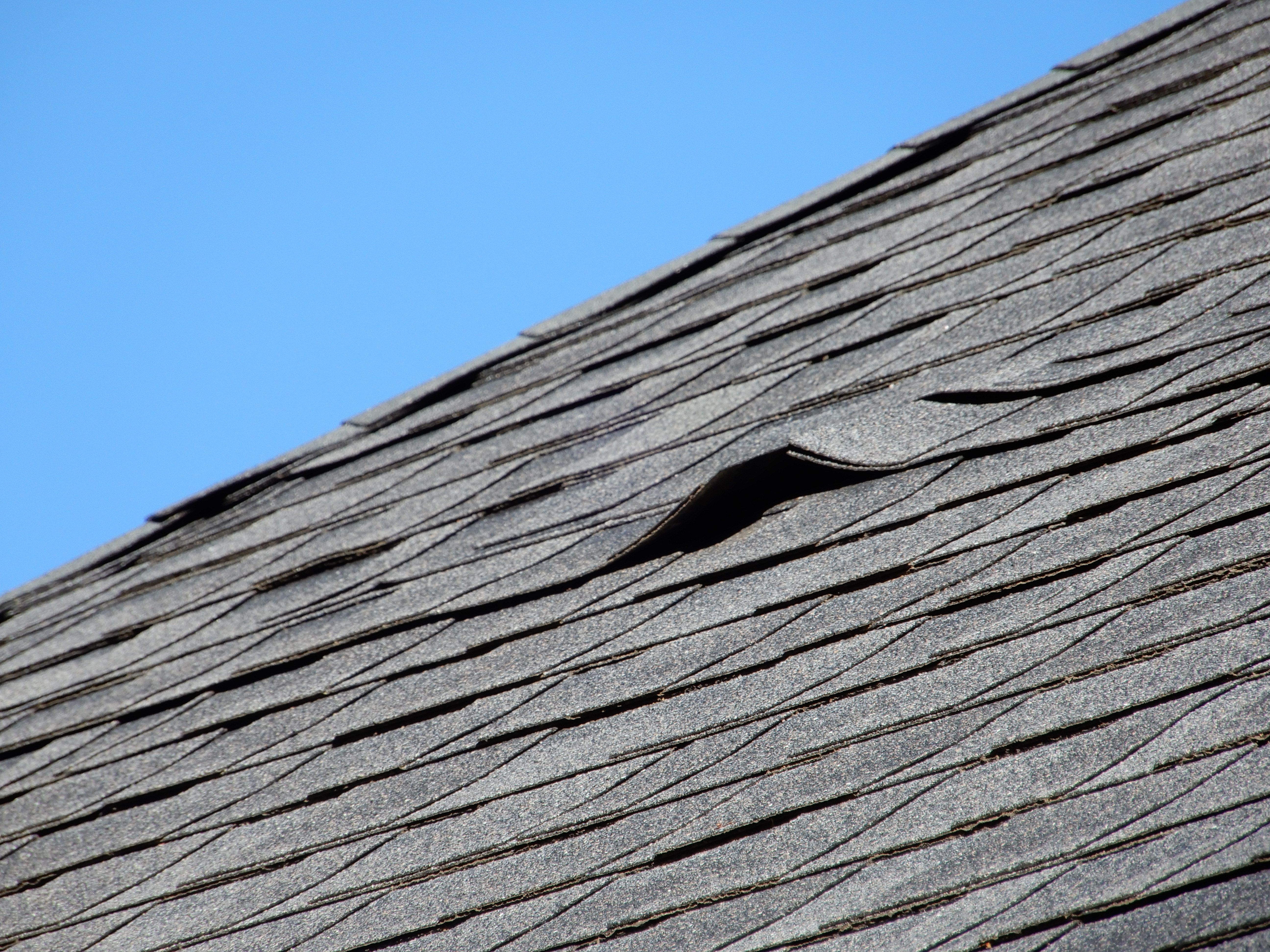 damaged roof shingles