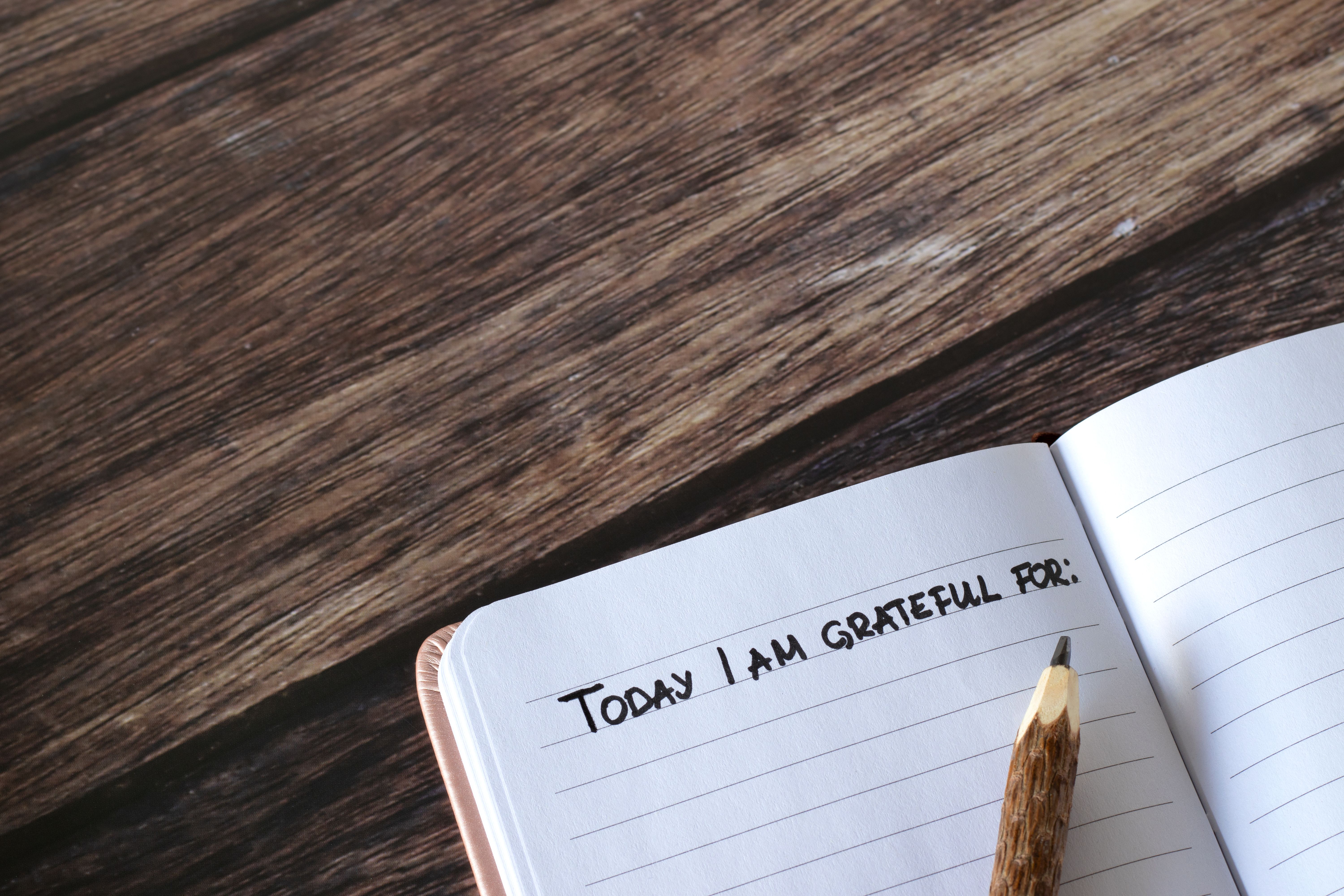 gratitude journal