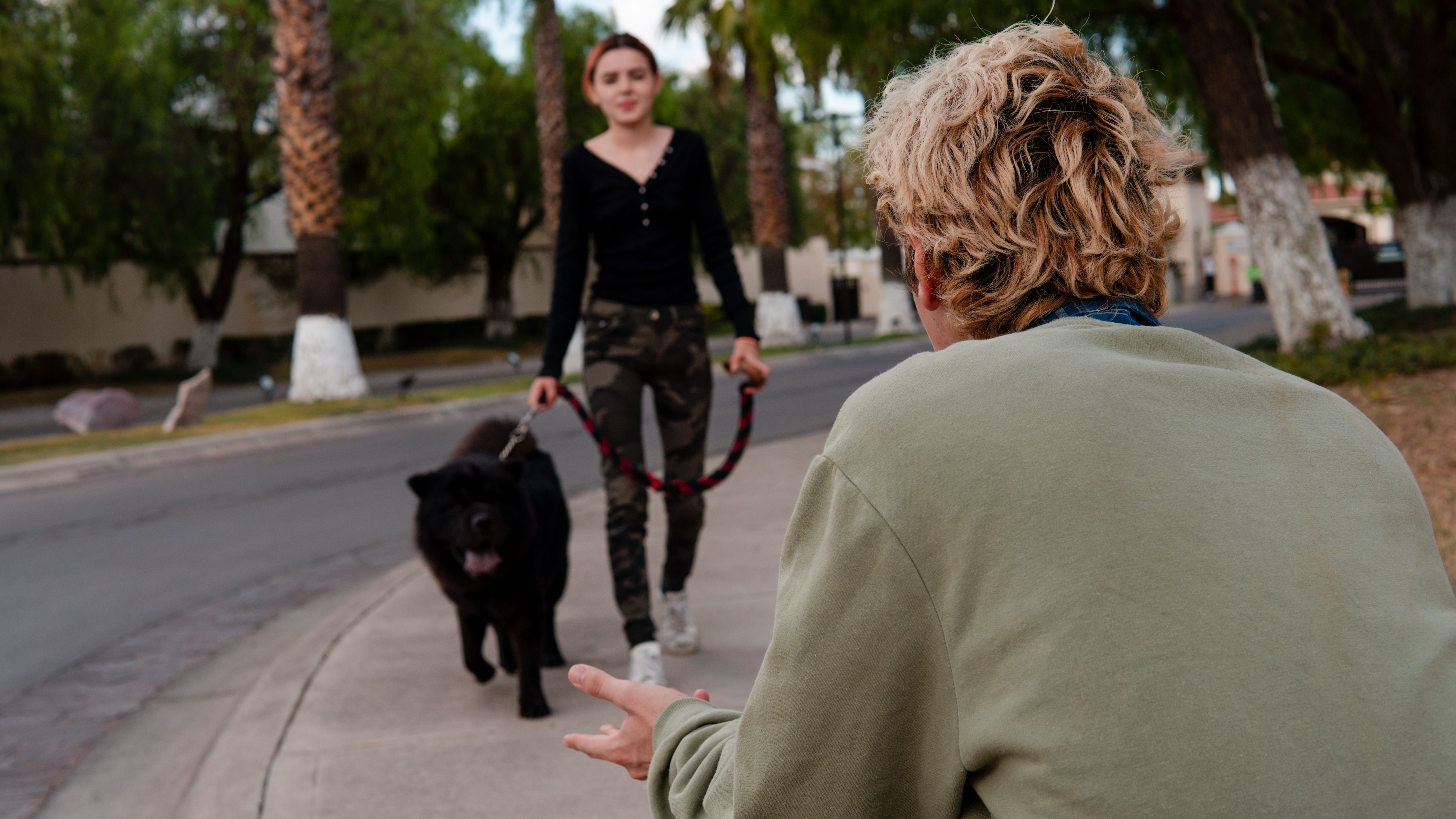 interview with dog walker