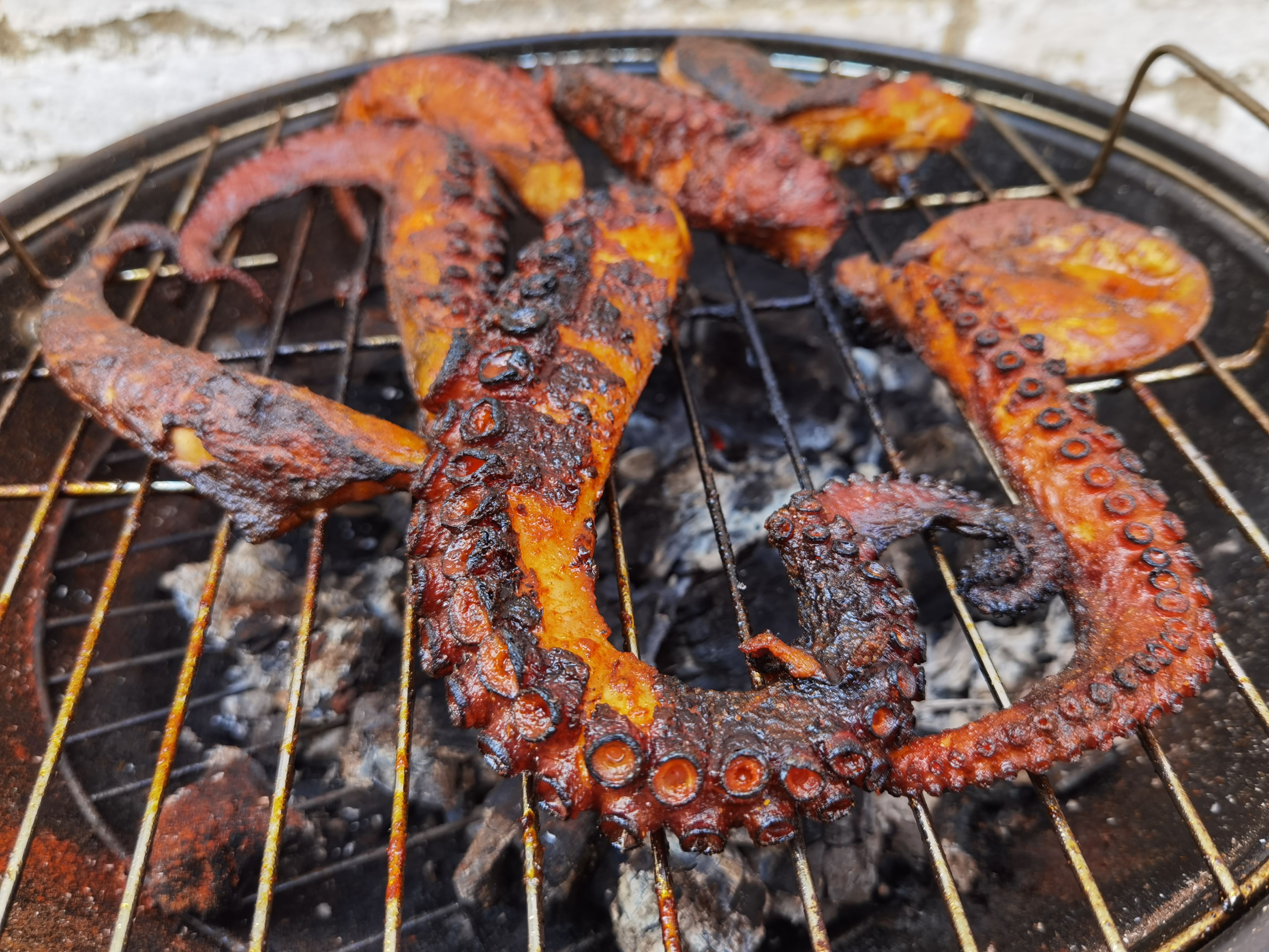 grilled octopus