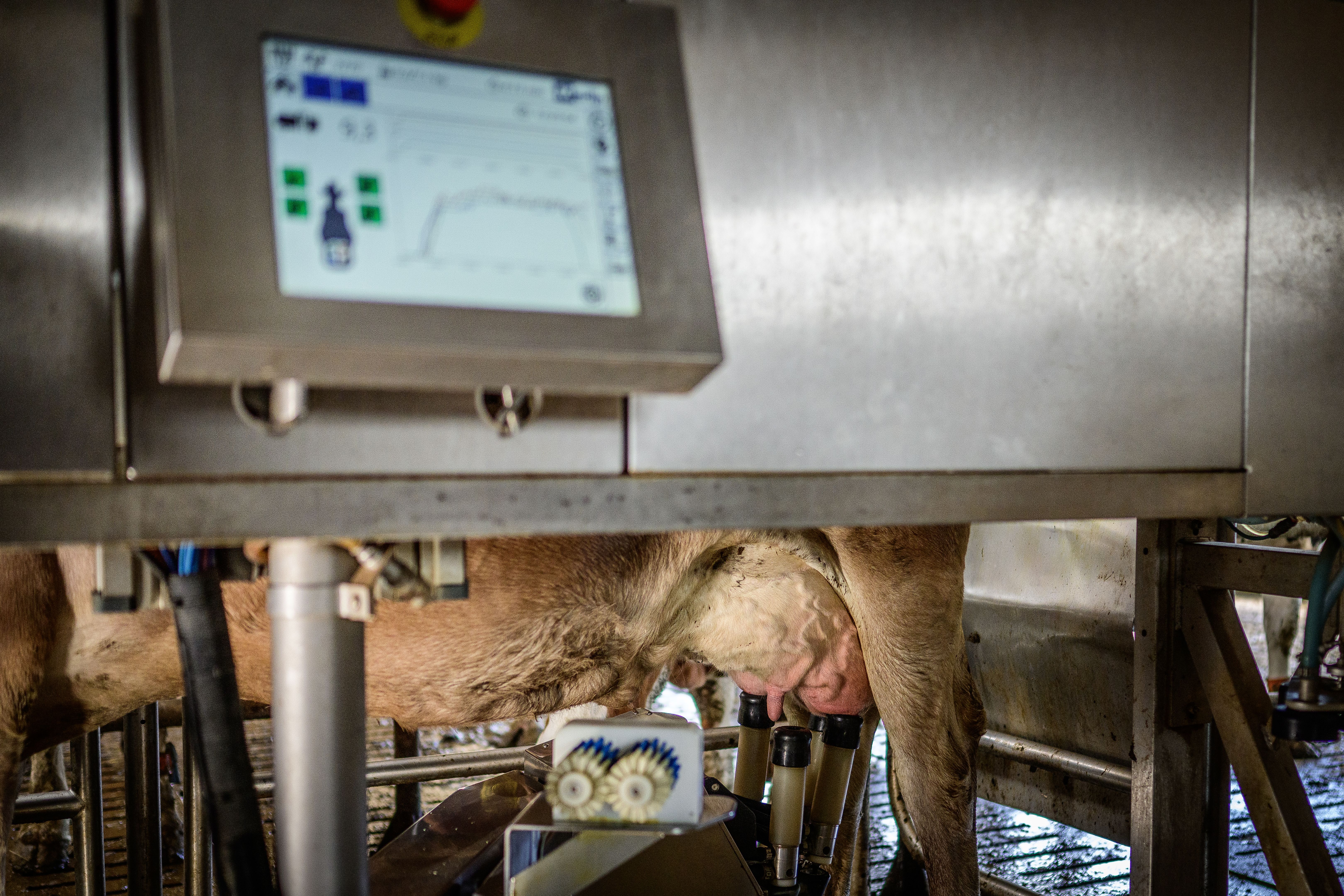 modern dairy farm