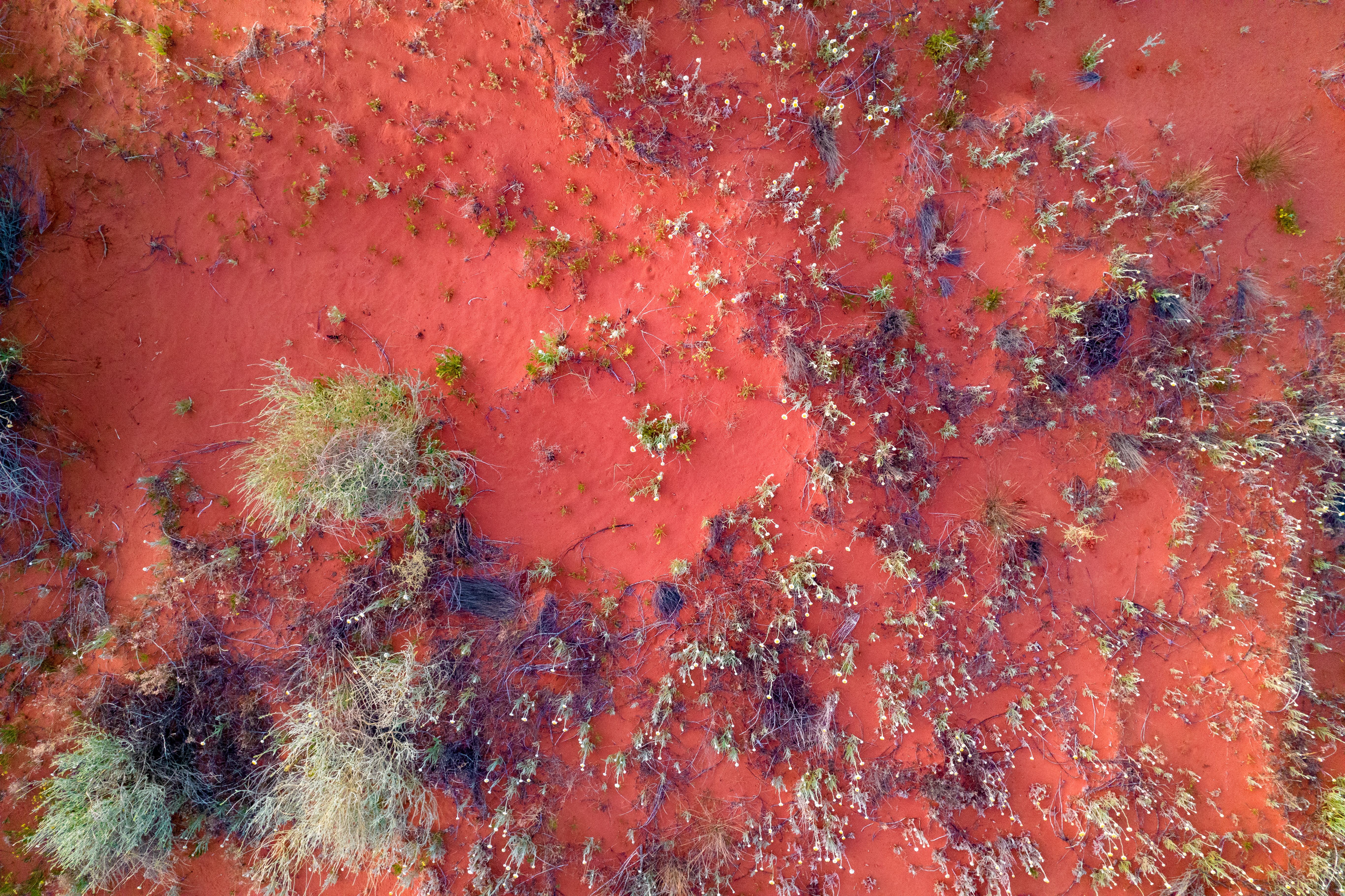 red centre australia