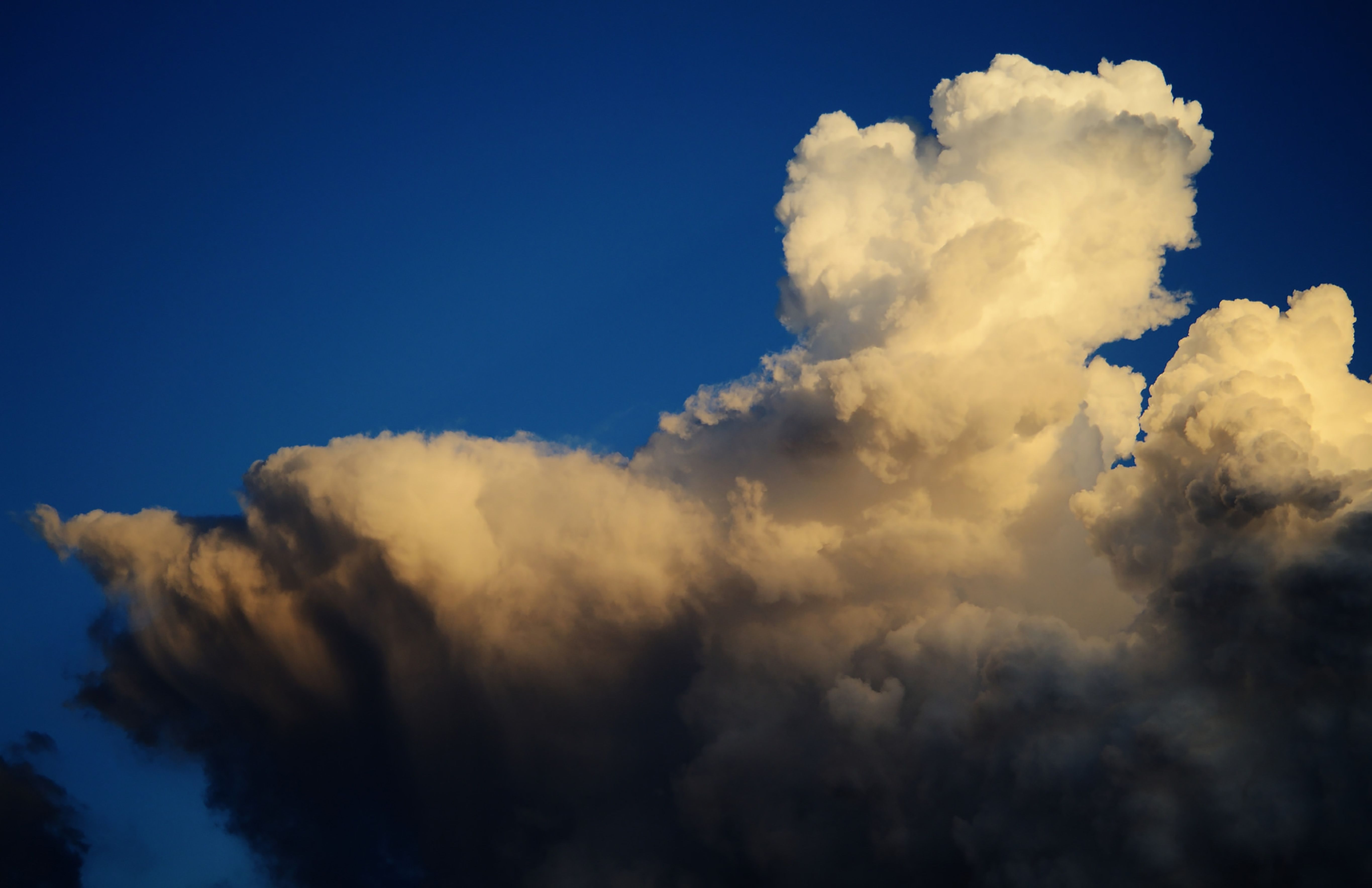 familia tranquilidad