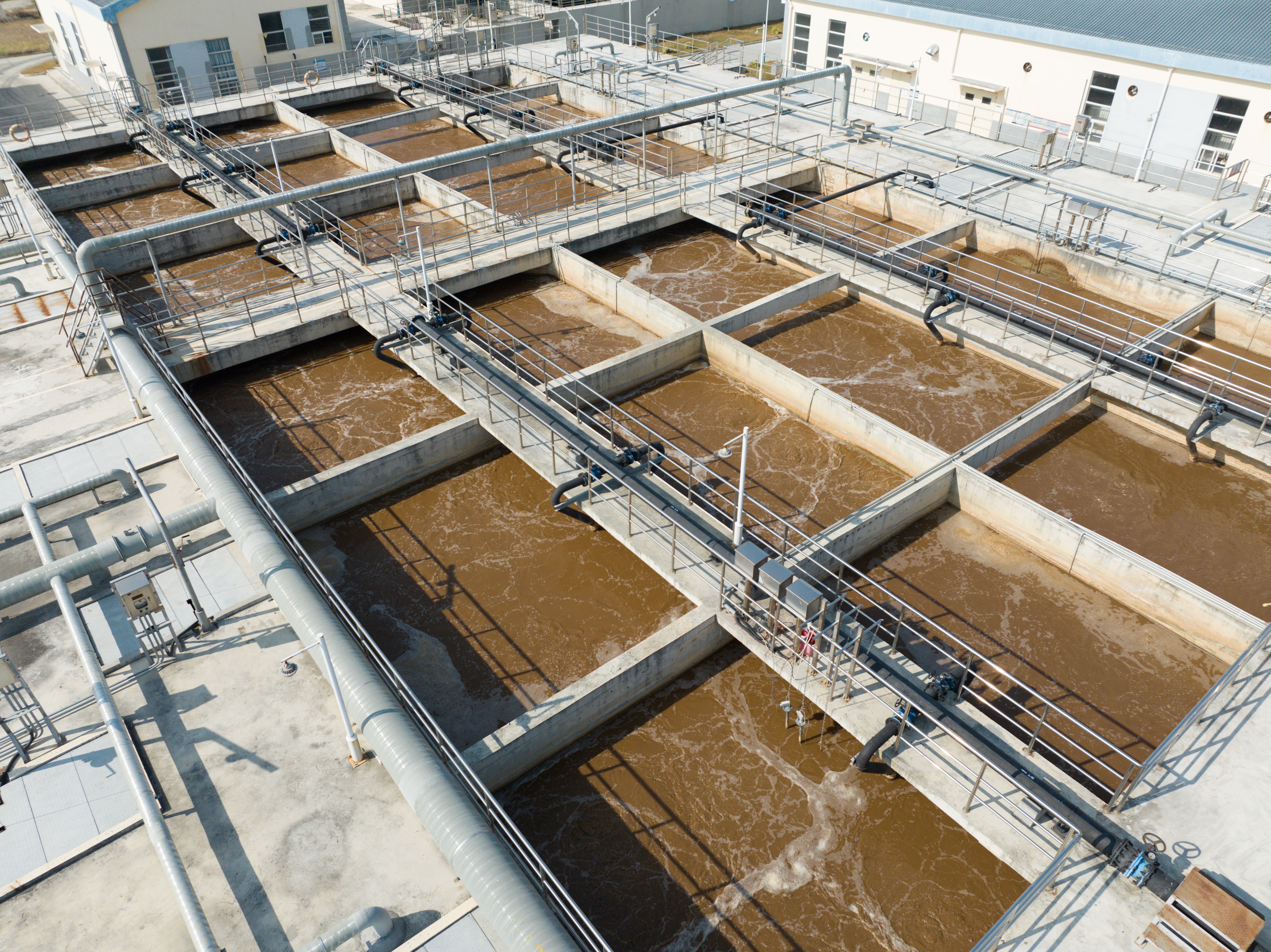 hydroseeding process