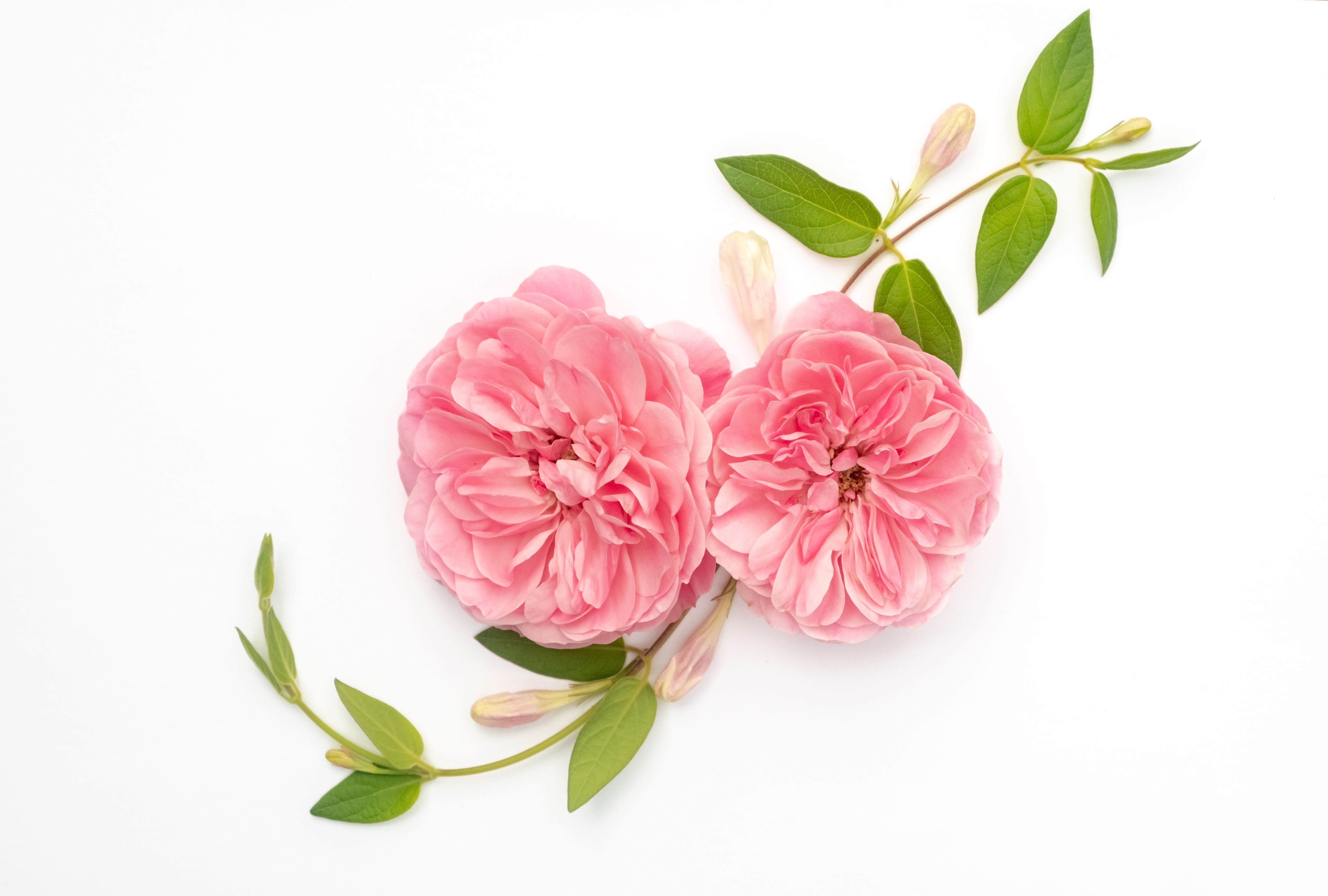 spring summer wedding