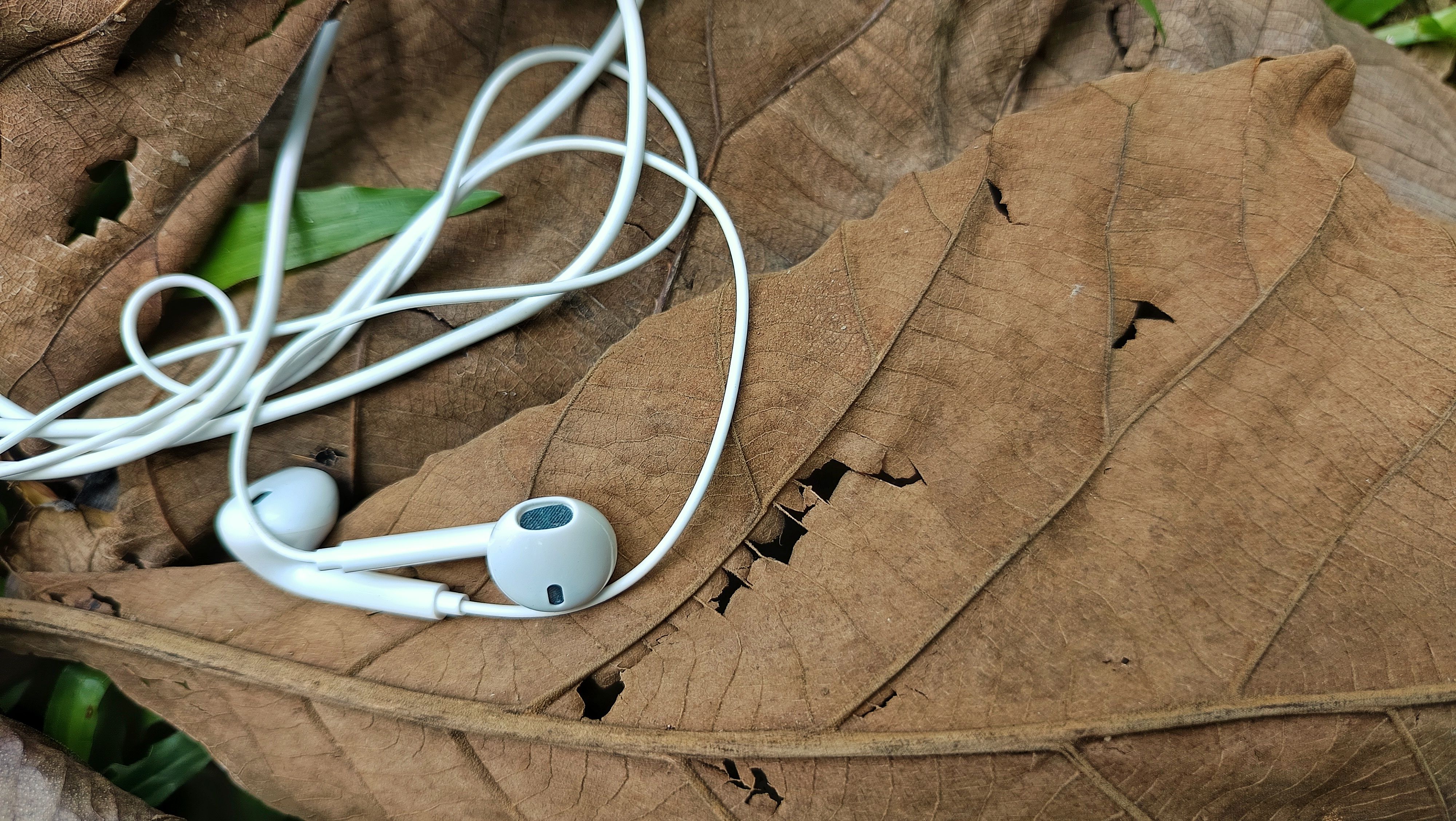 nature technology music