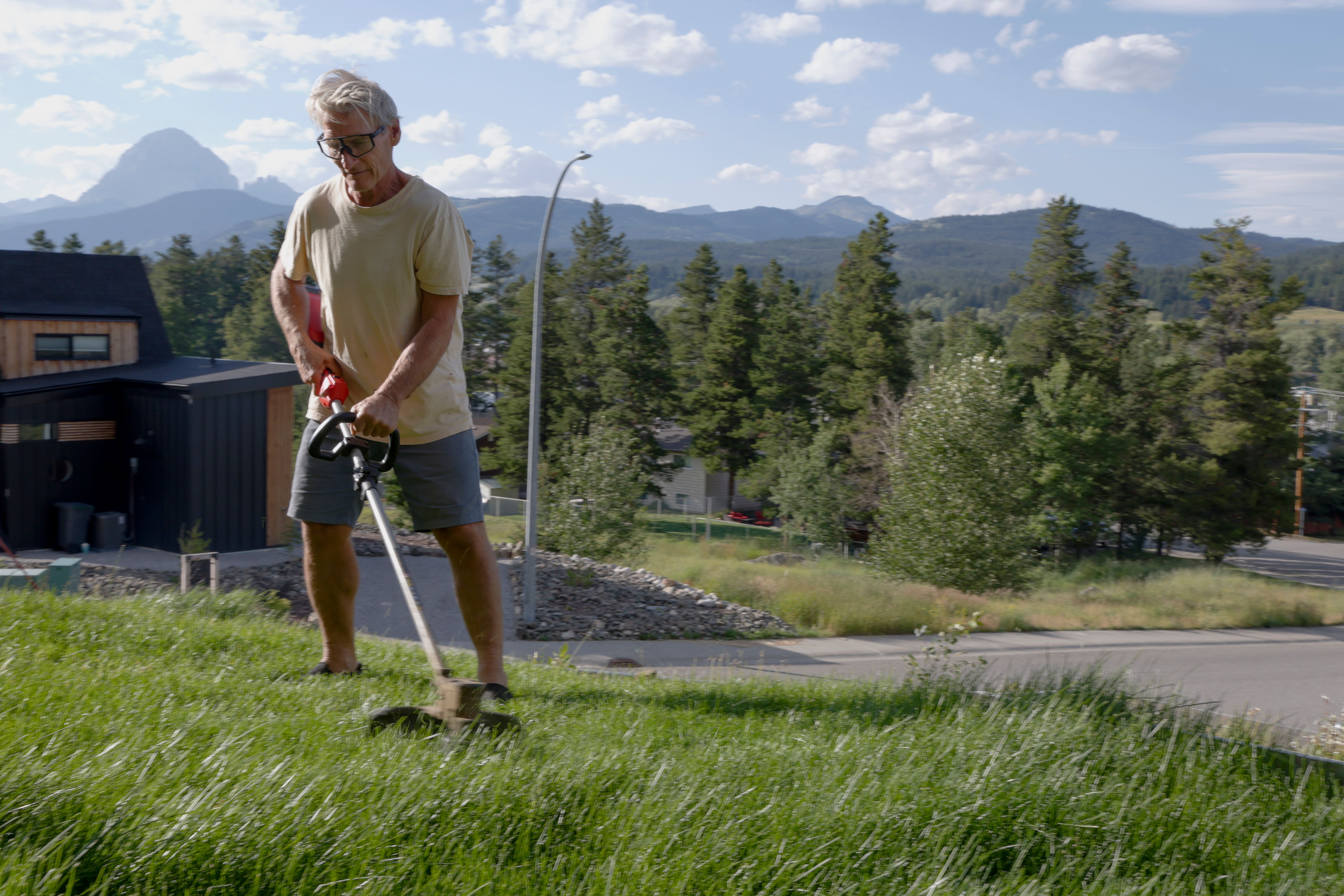 grass mowing