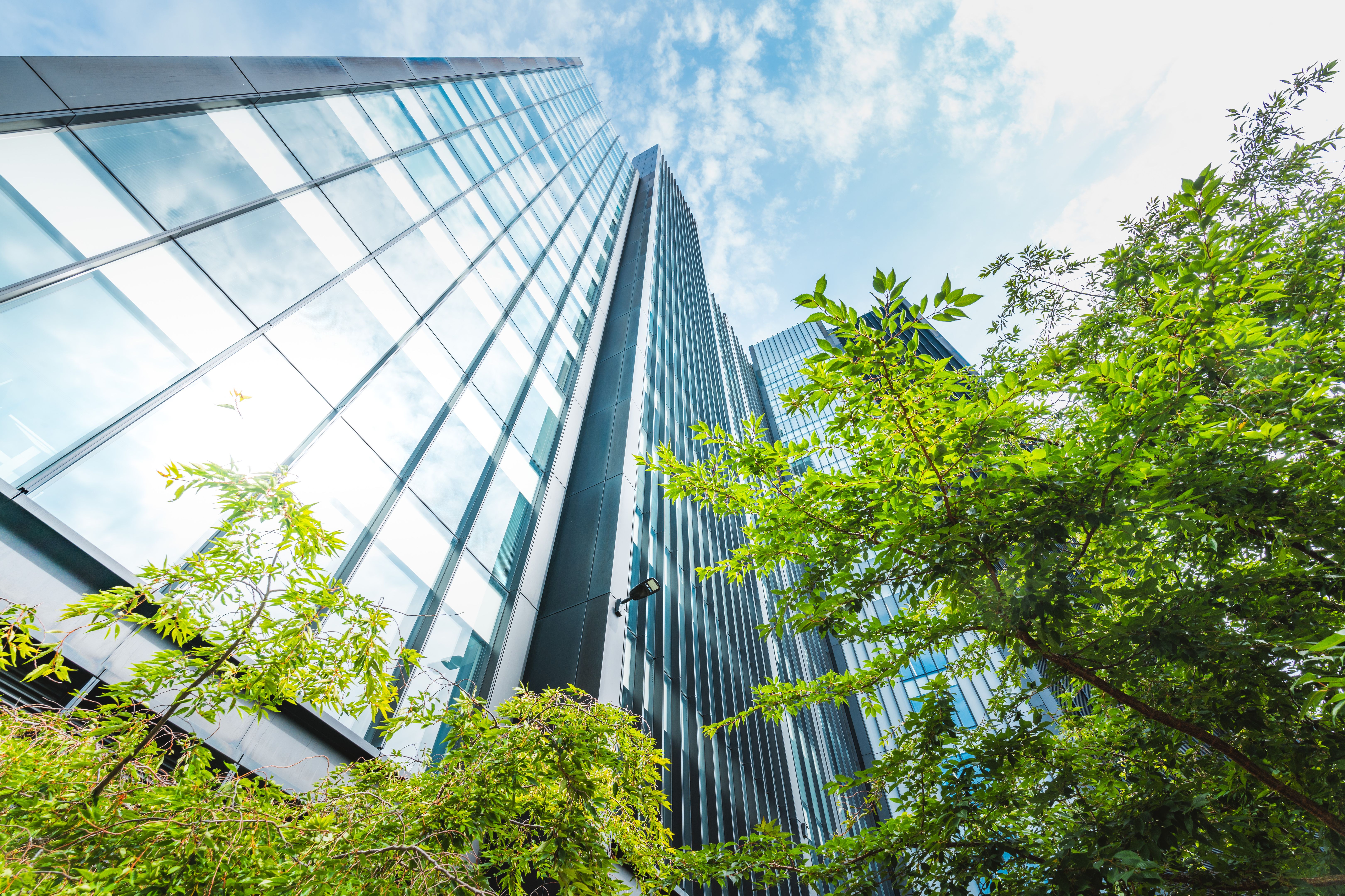 green business