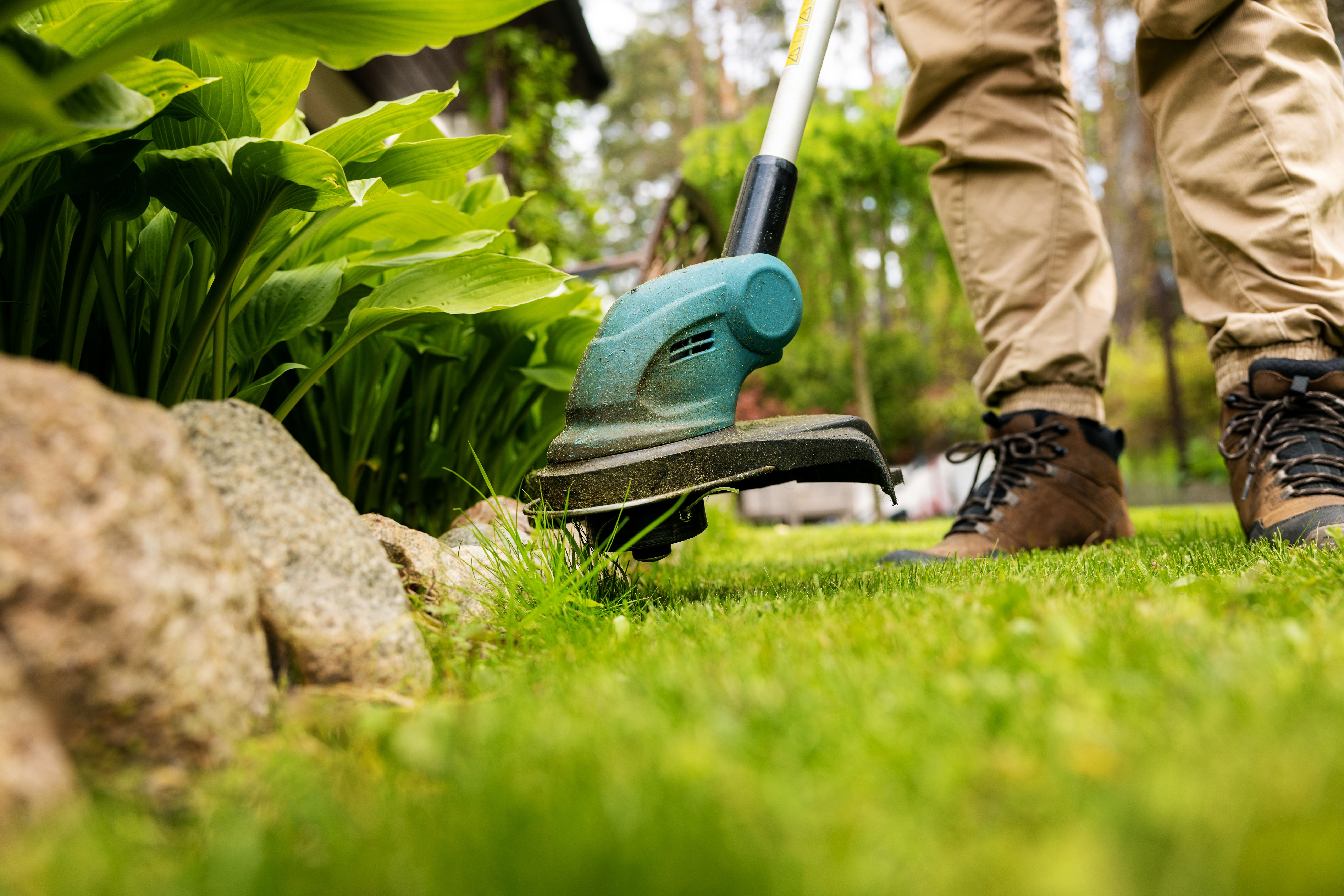 lawn care service
