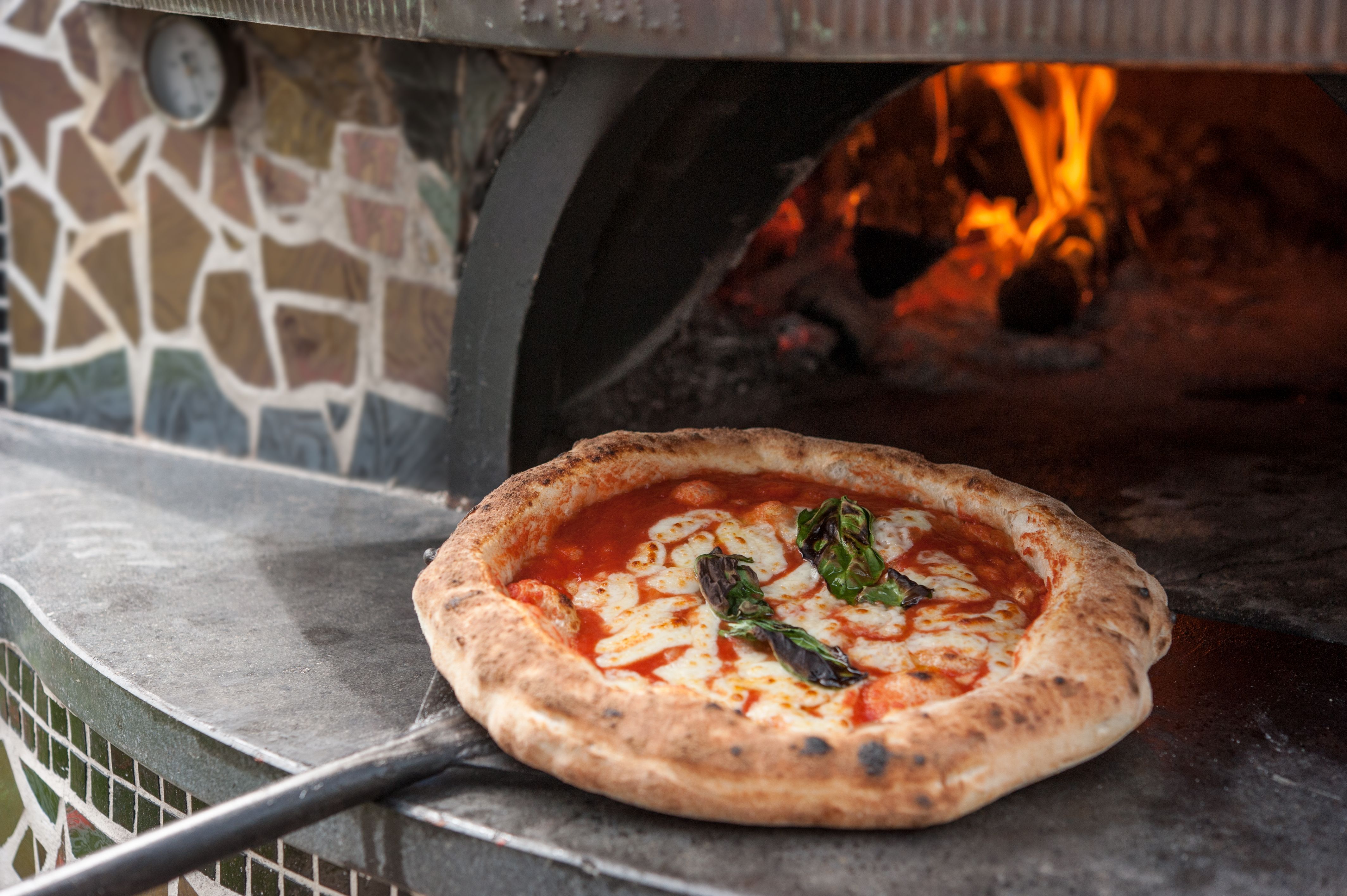 wood-fired pizza