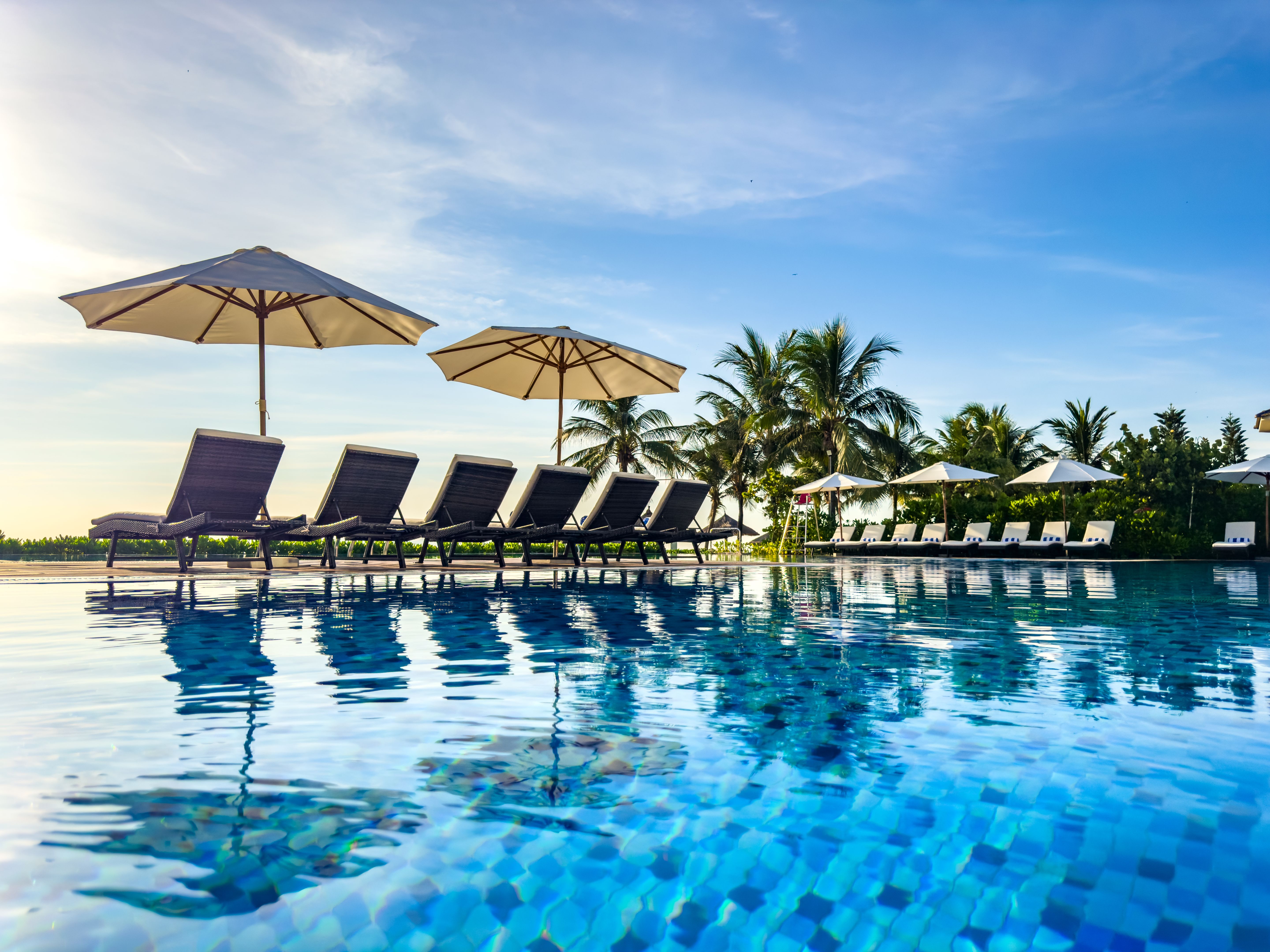 Row of lounge chairs and umbrellas by a tropical pool with palm trees under a clear blue sky.