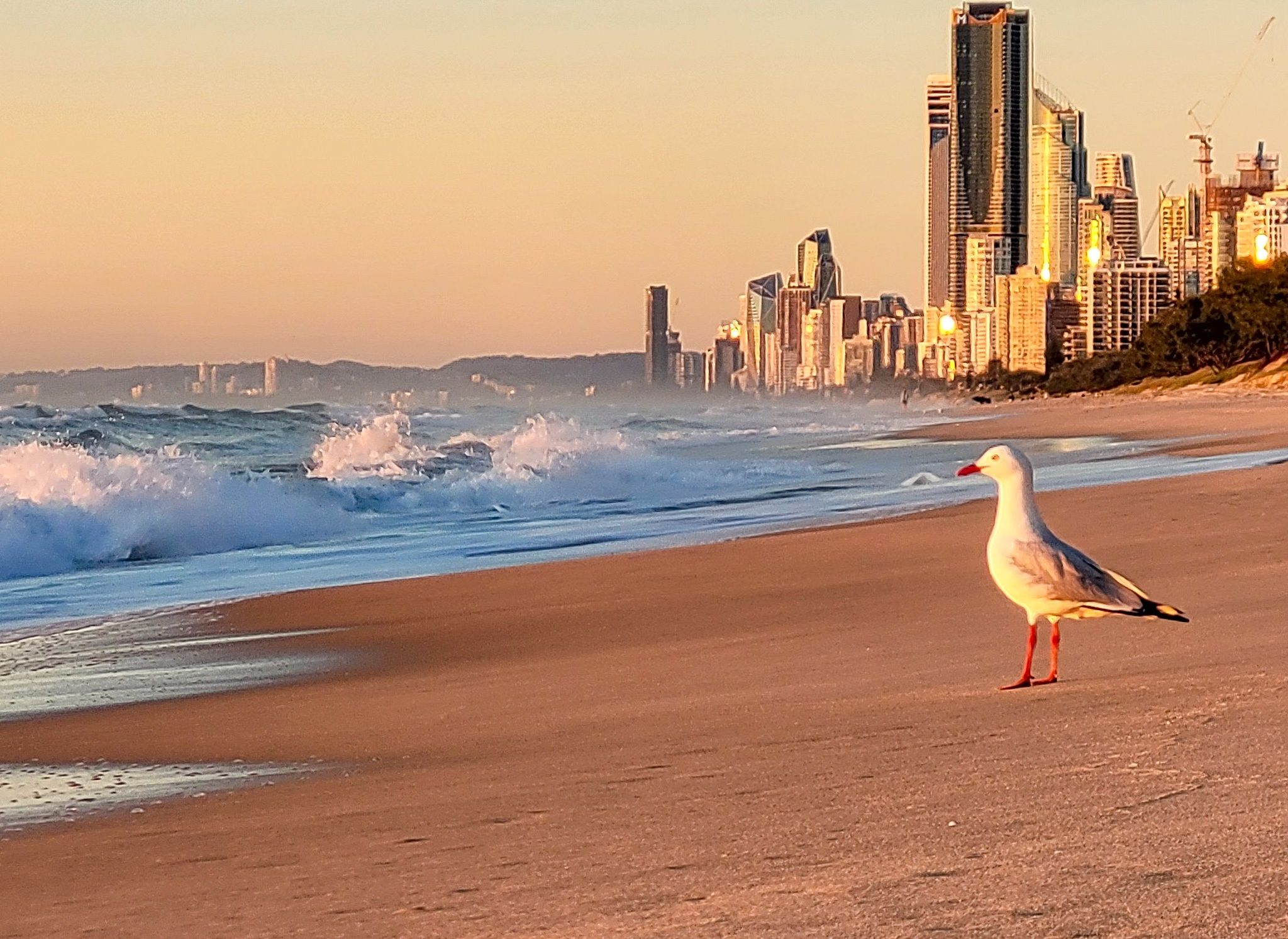 gold coast tourism
