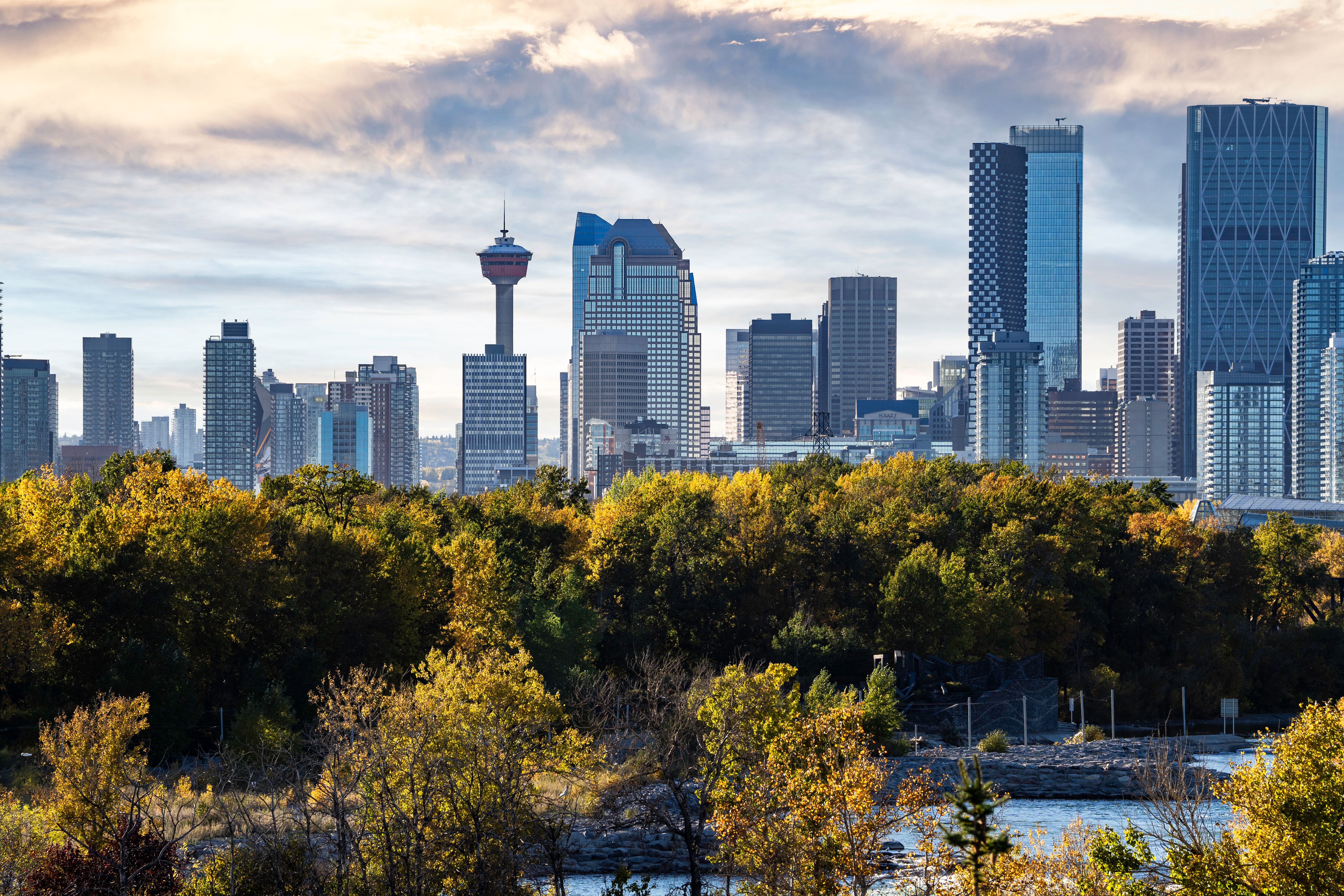 city skyline