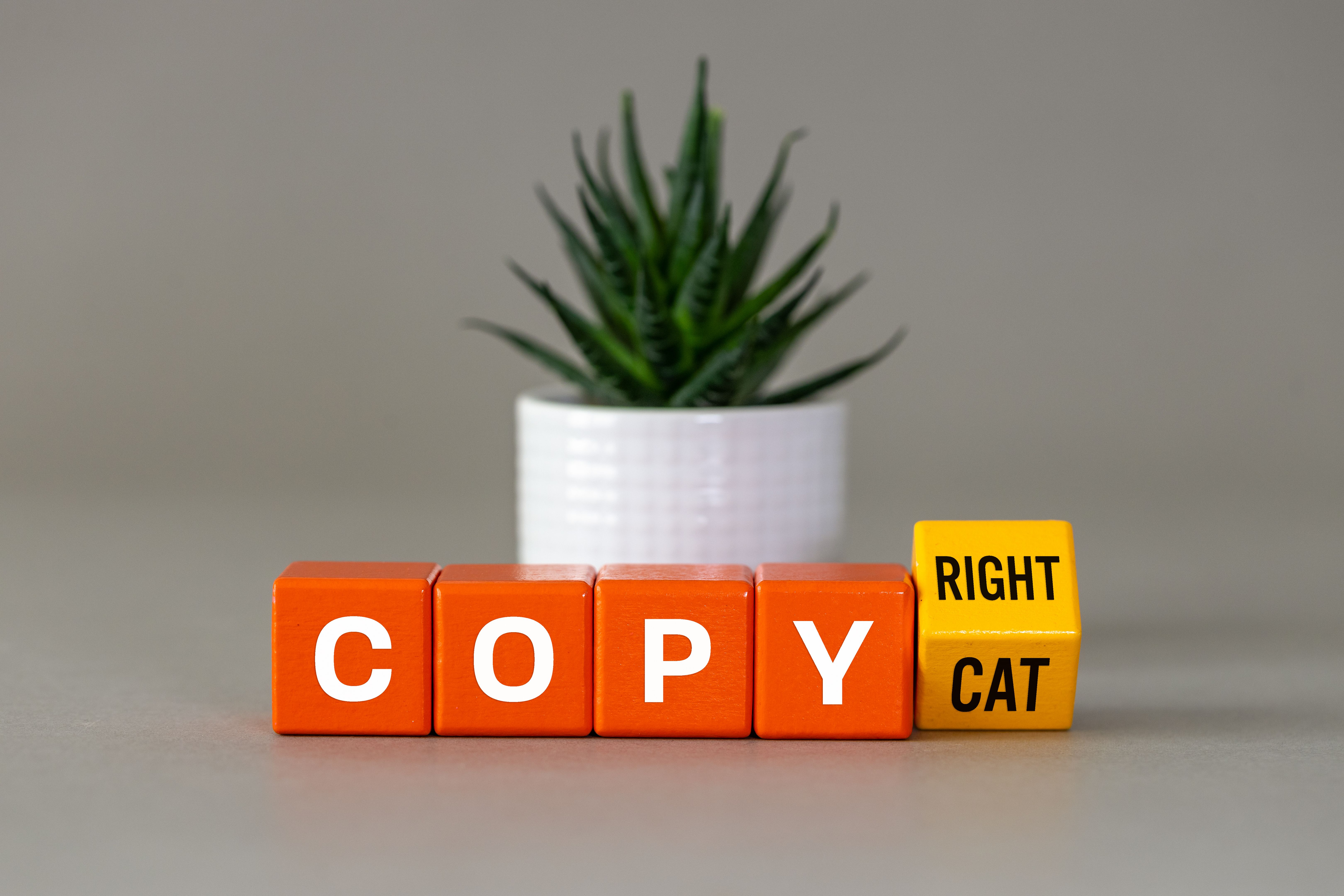 intellectual property