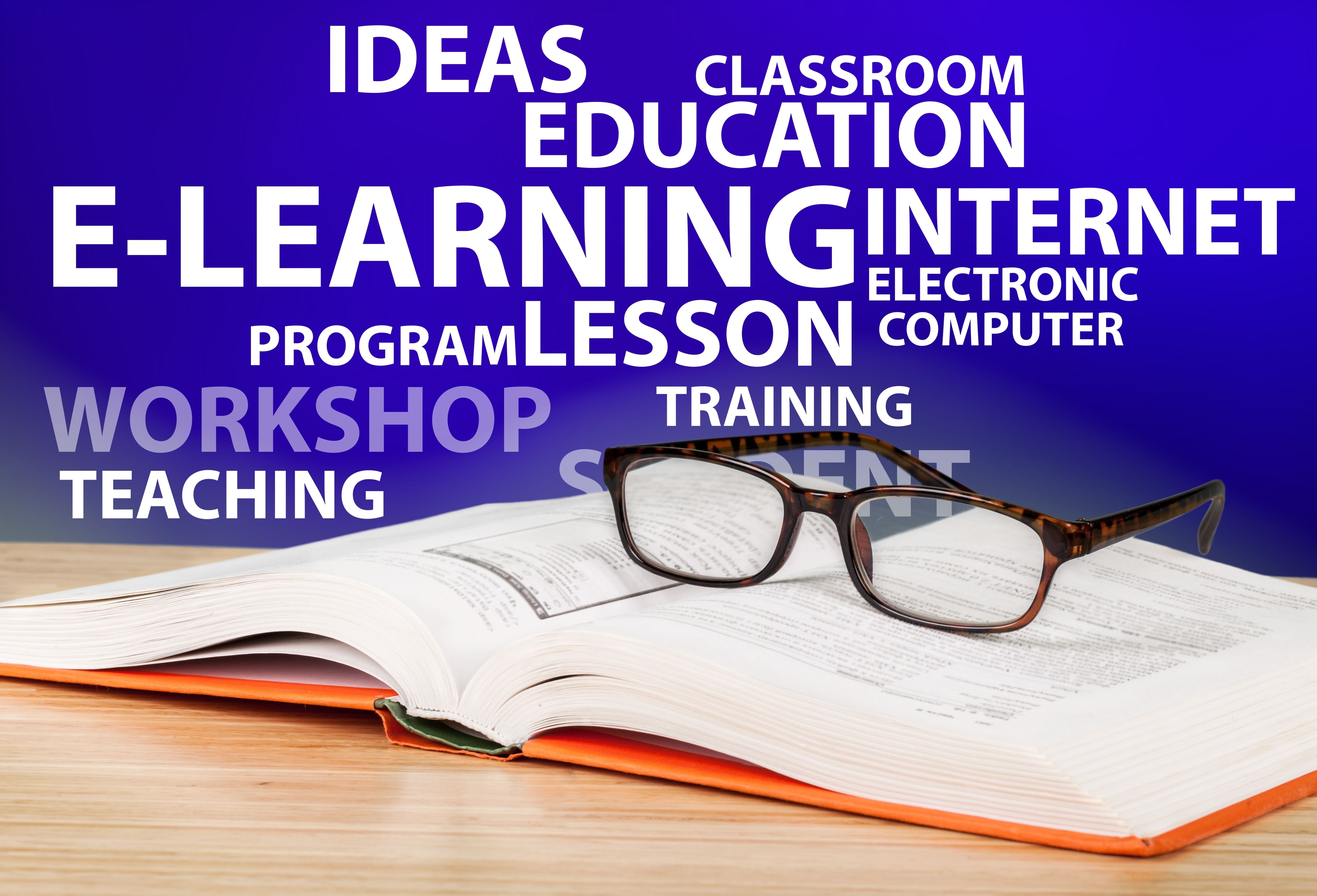 interdisciplinary learning