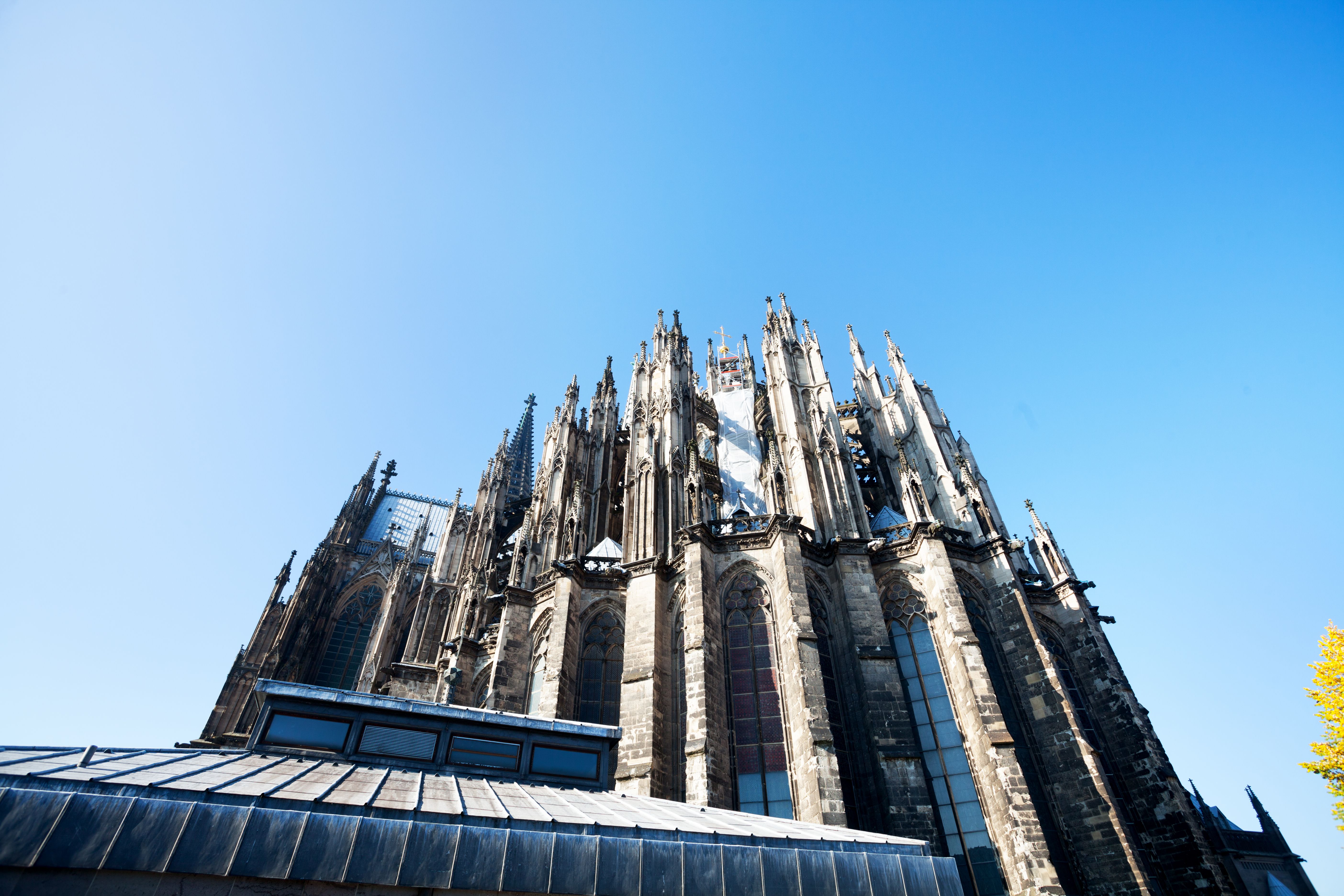 zahnarztbesuch köln