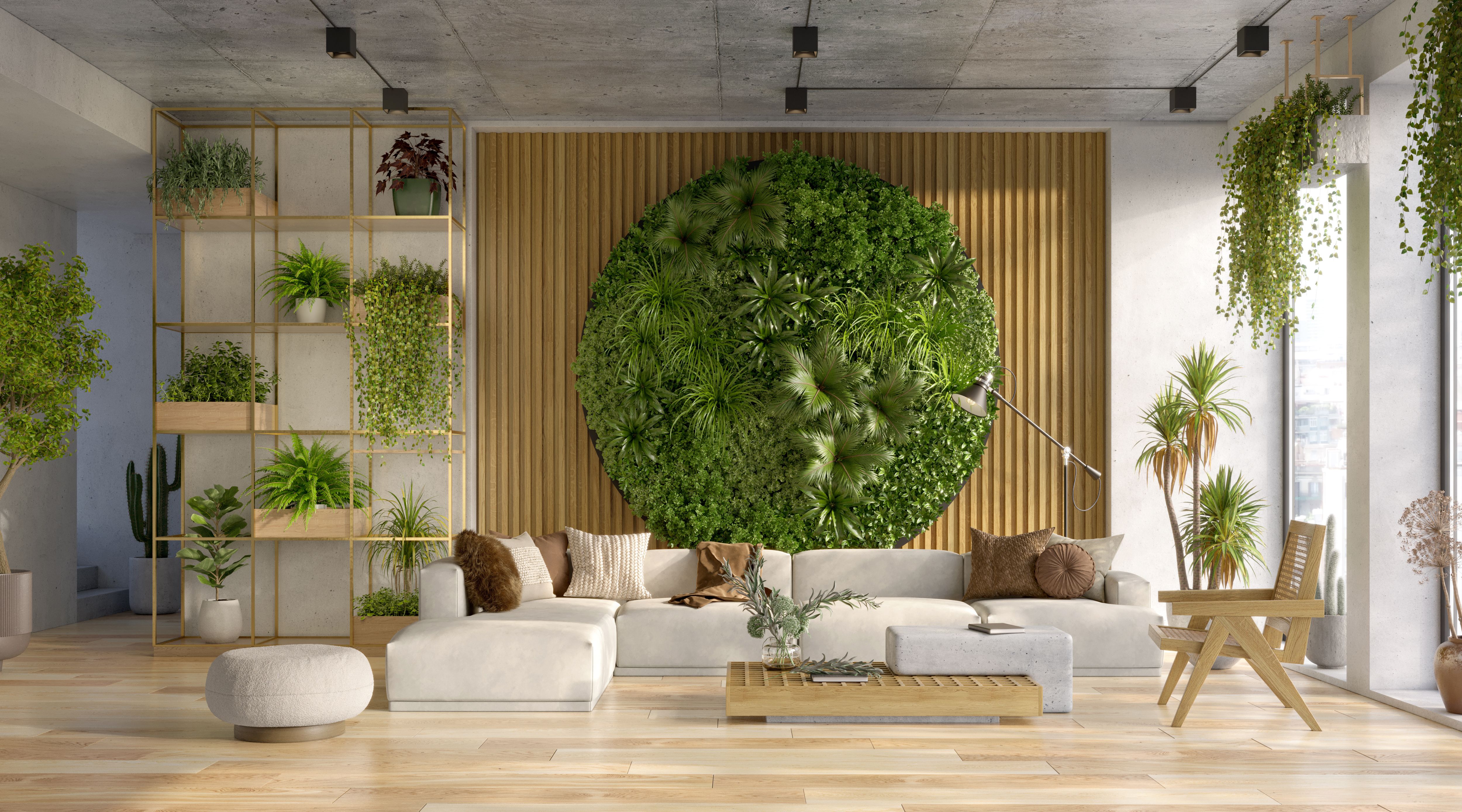 modern living room plants