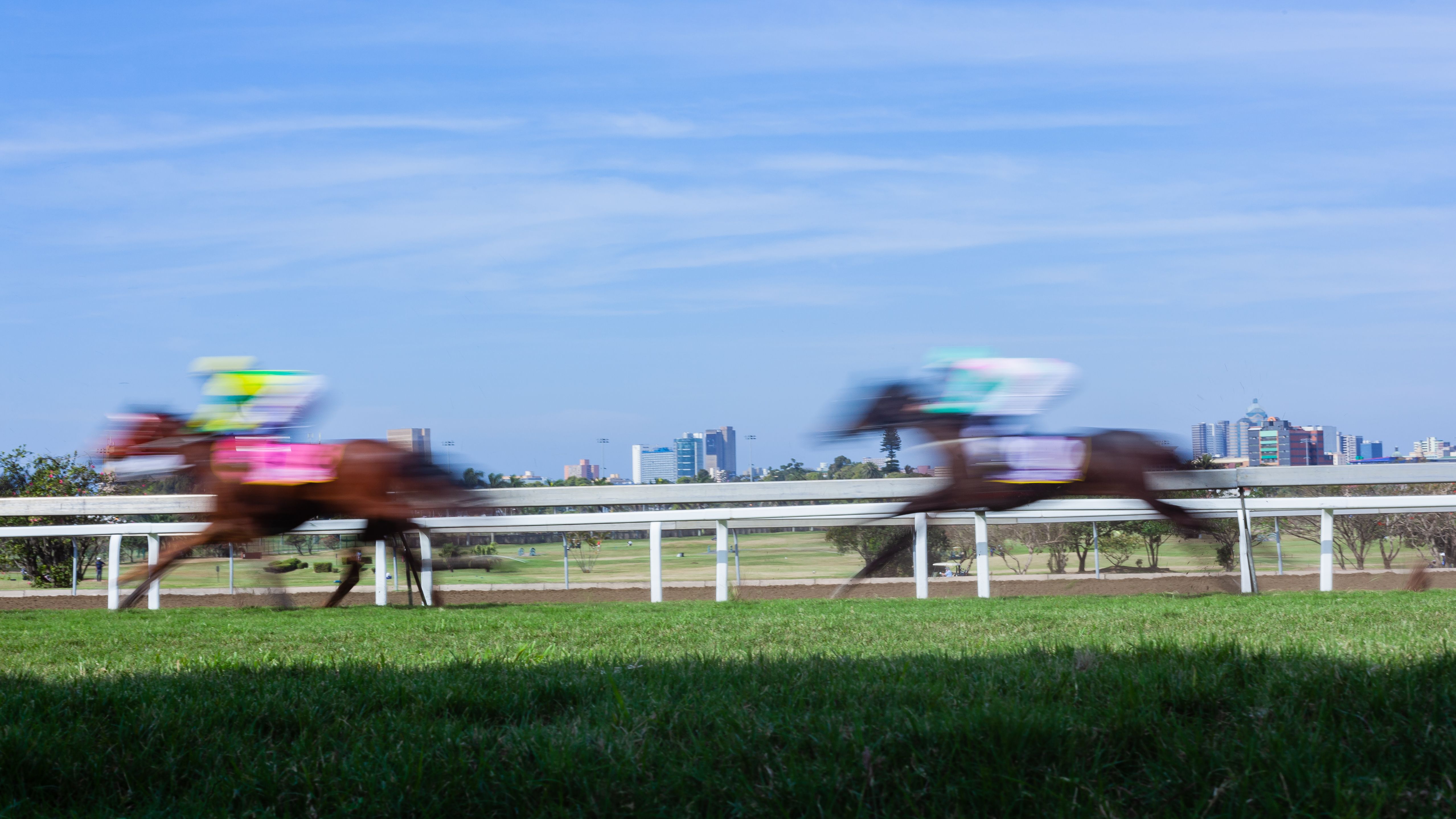 sports betting