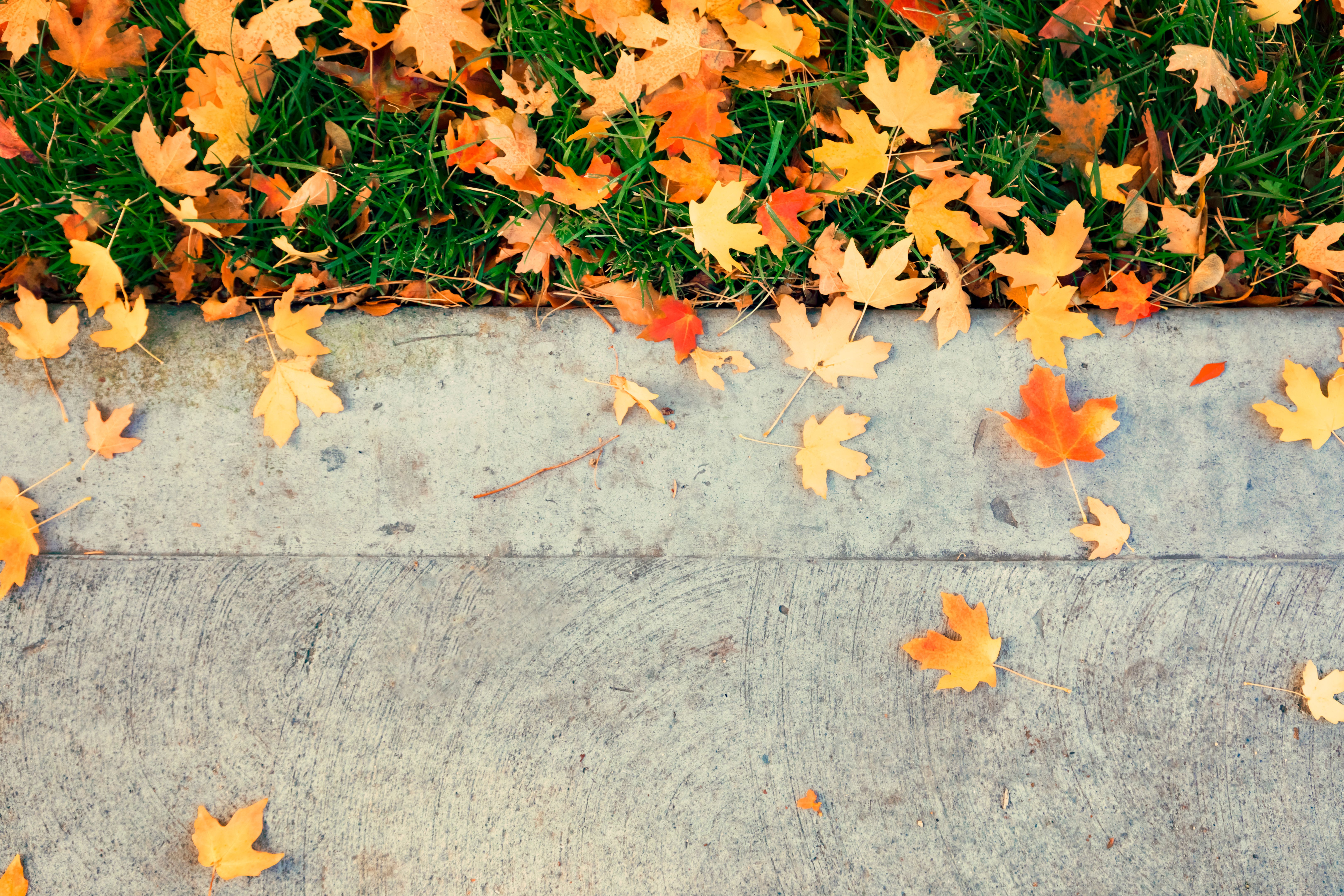 fall concrete maintenance