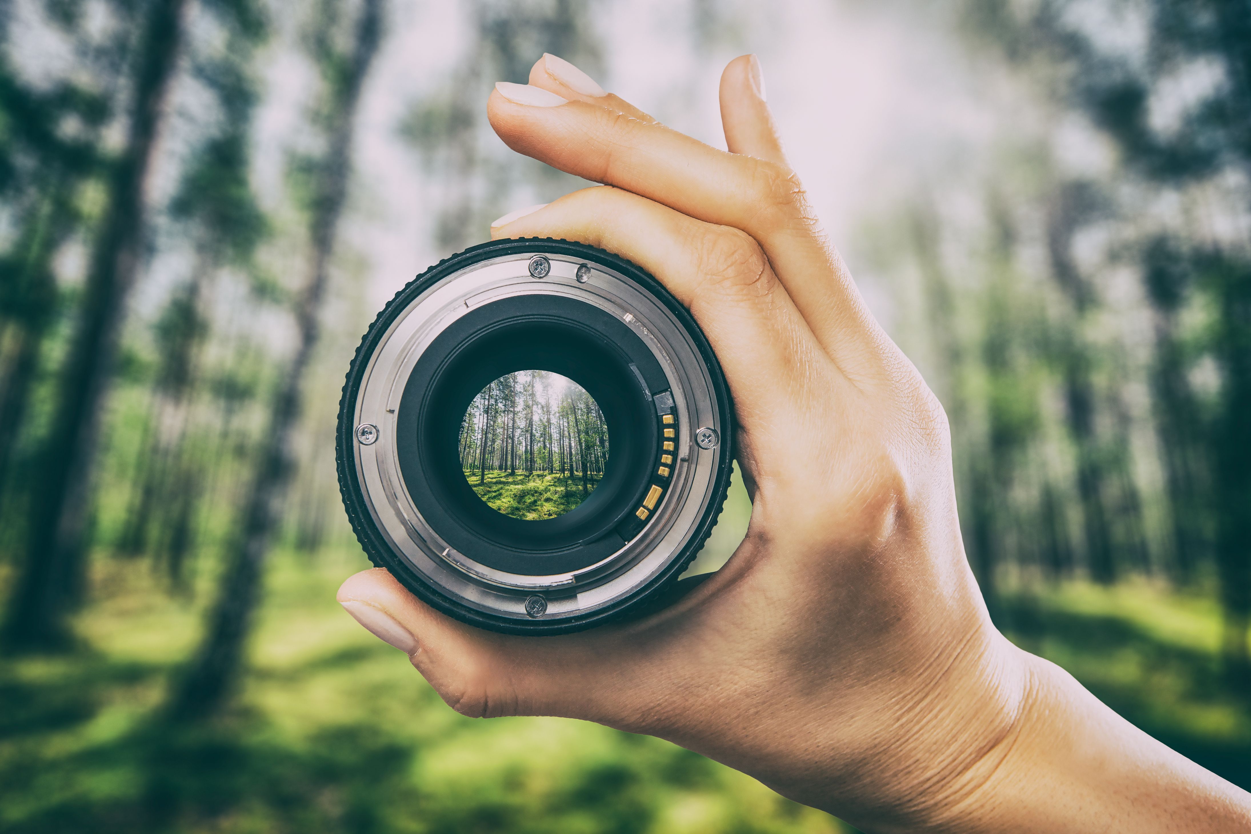 photographer nature
