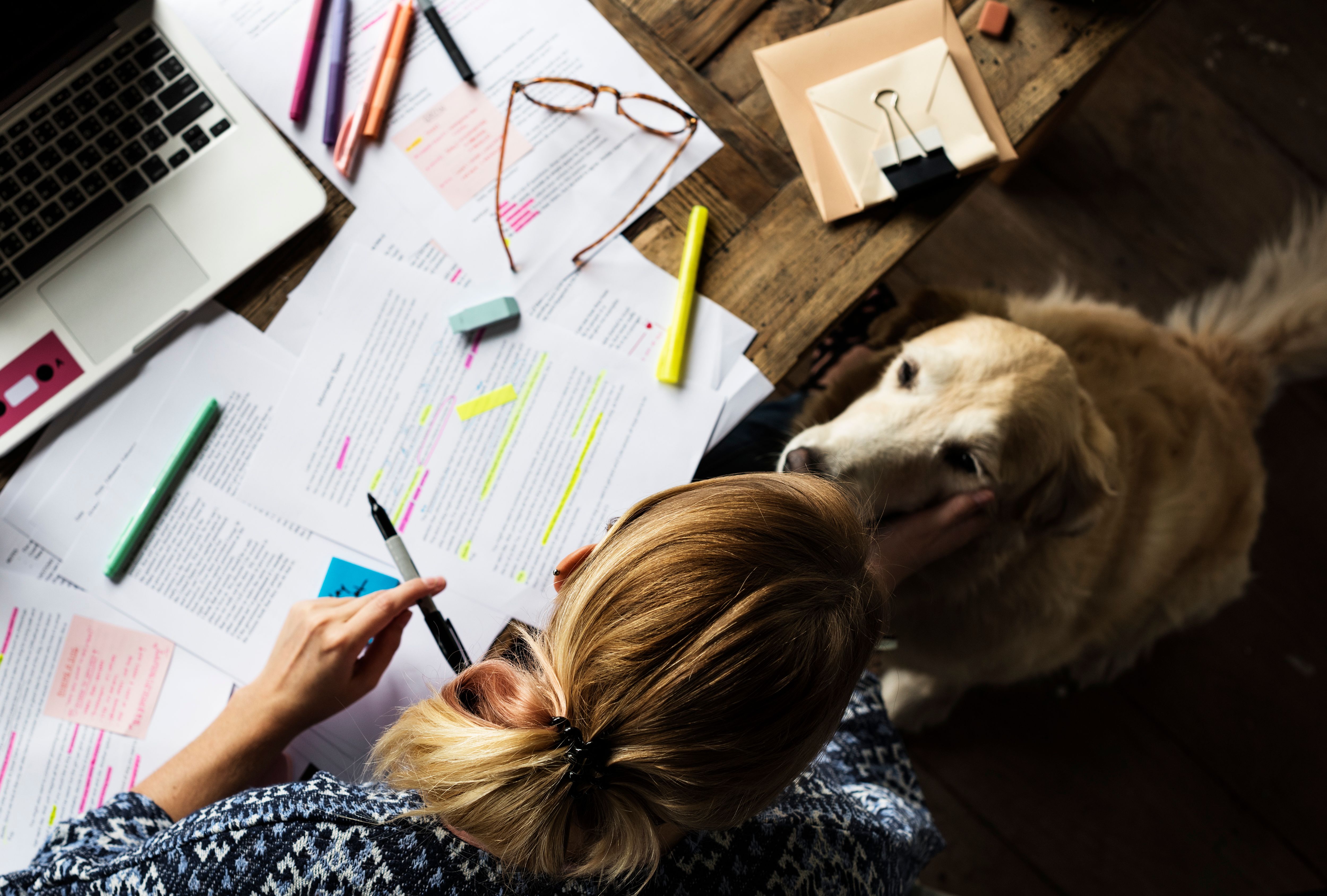 pet sitter researching