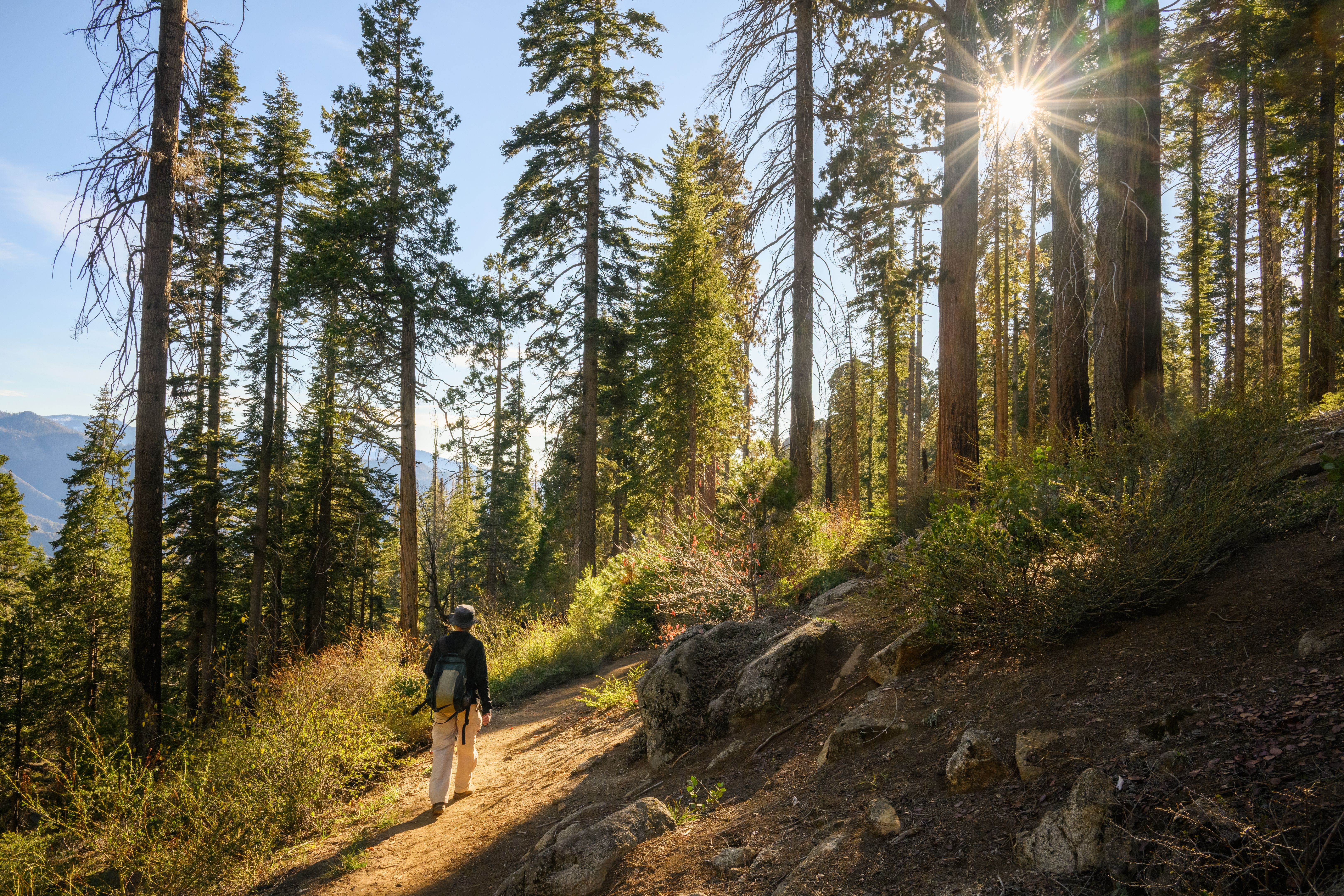 senior walking nature