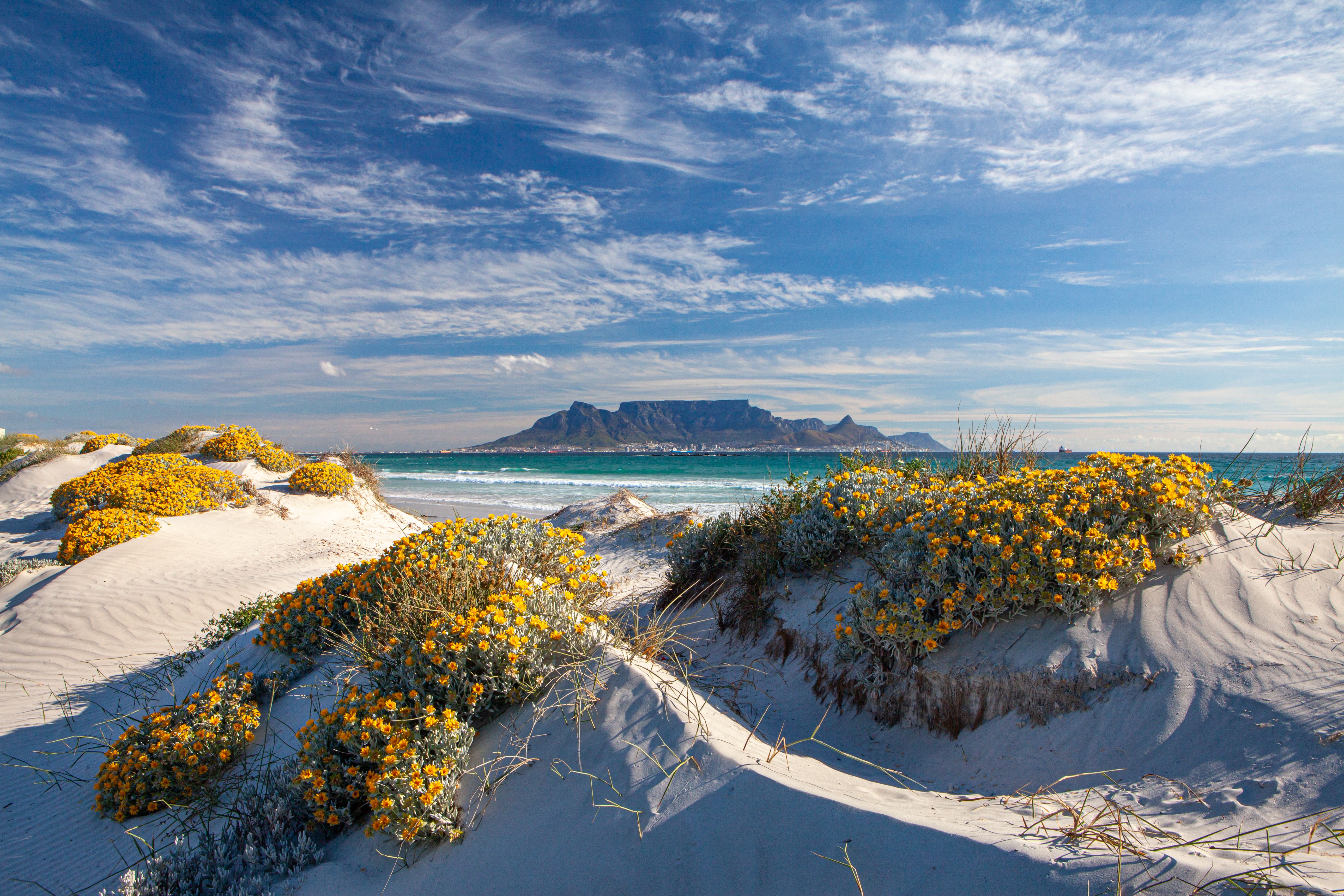 Cape Town beach