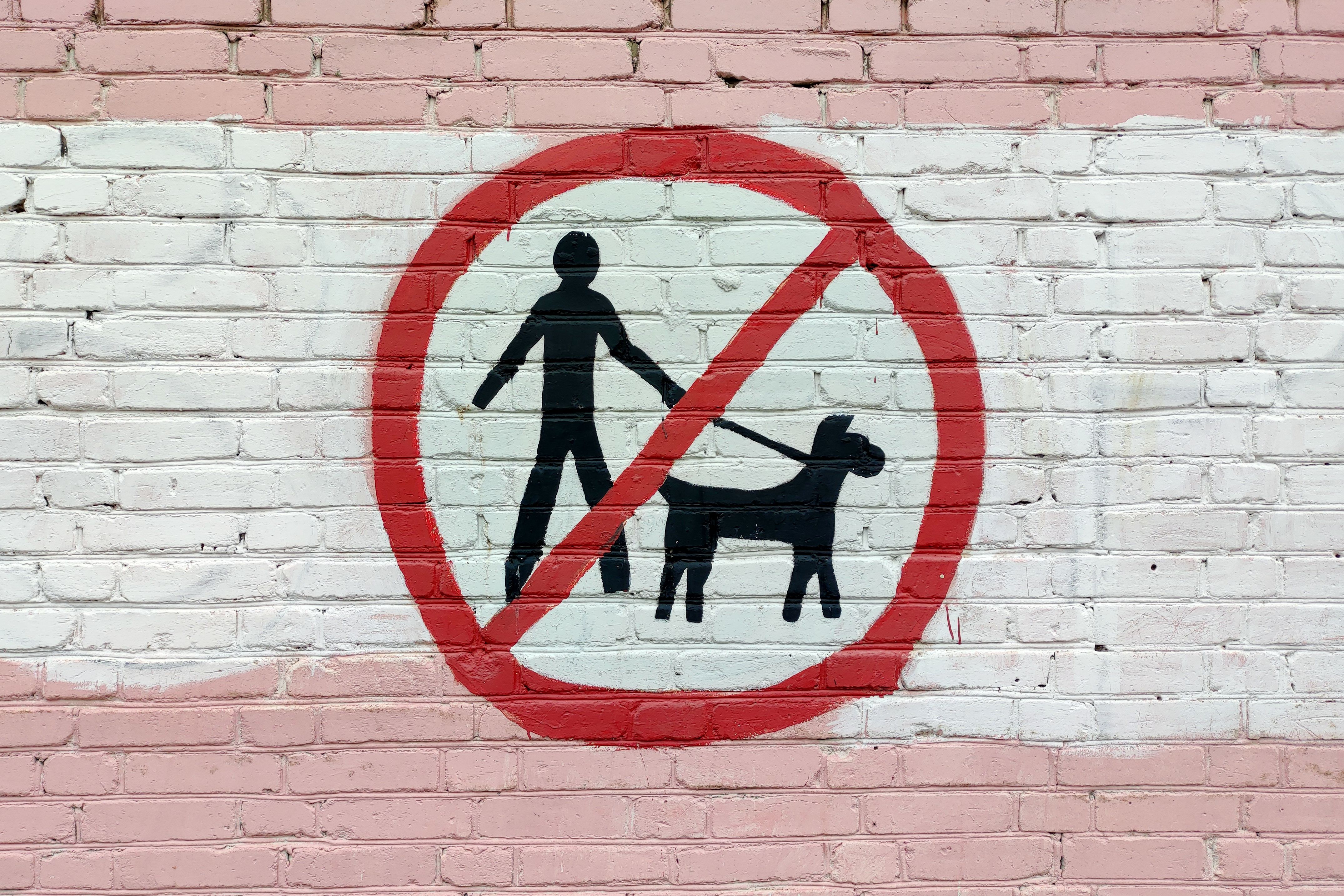 sign with no dogs allowed