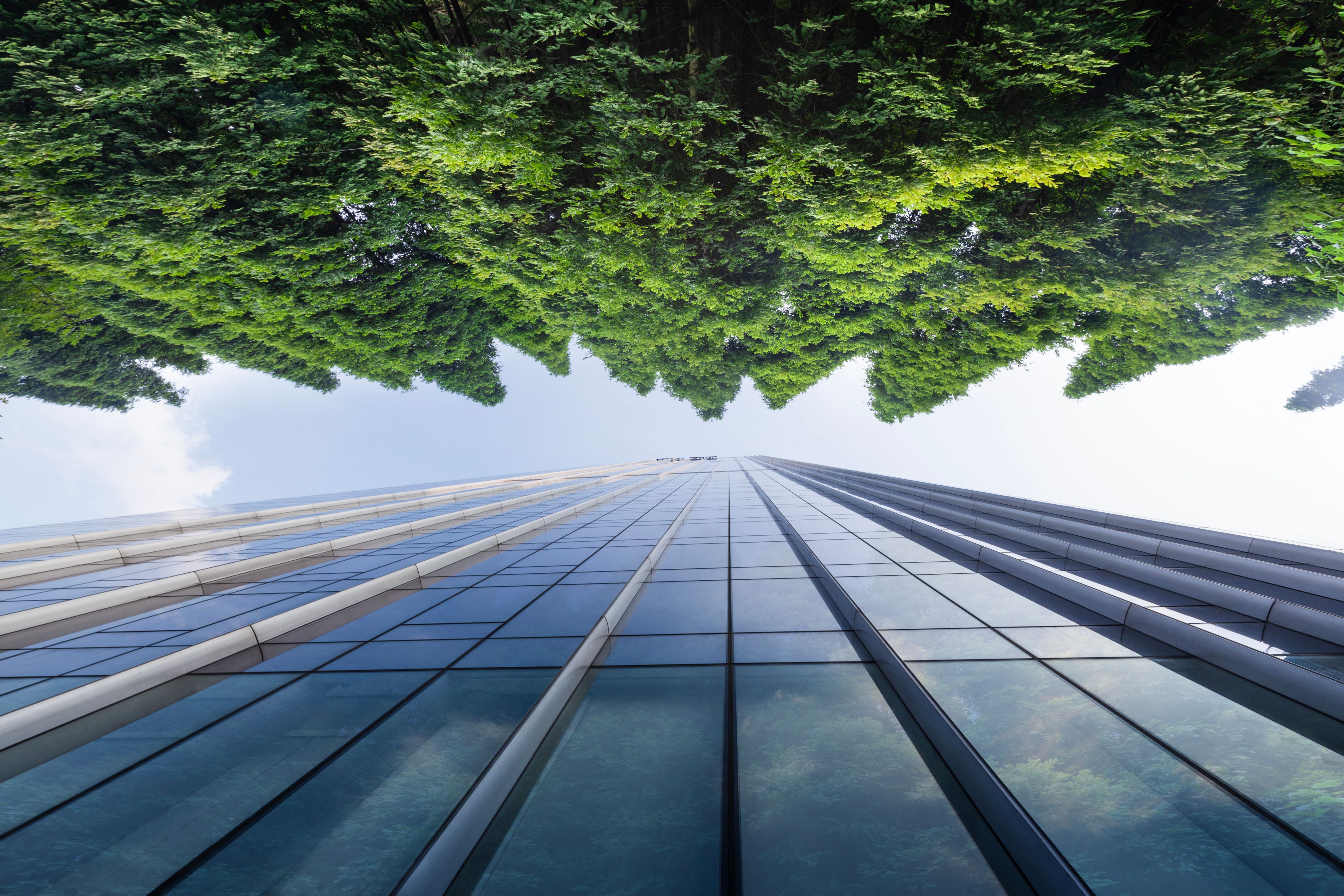 sustainable building future