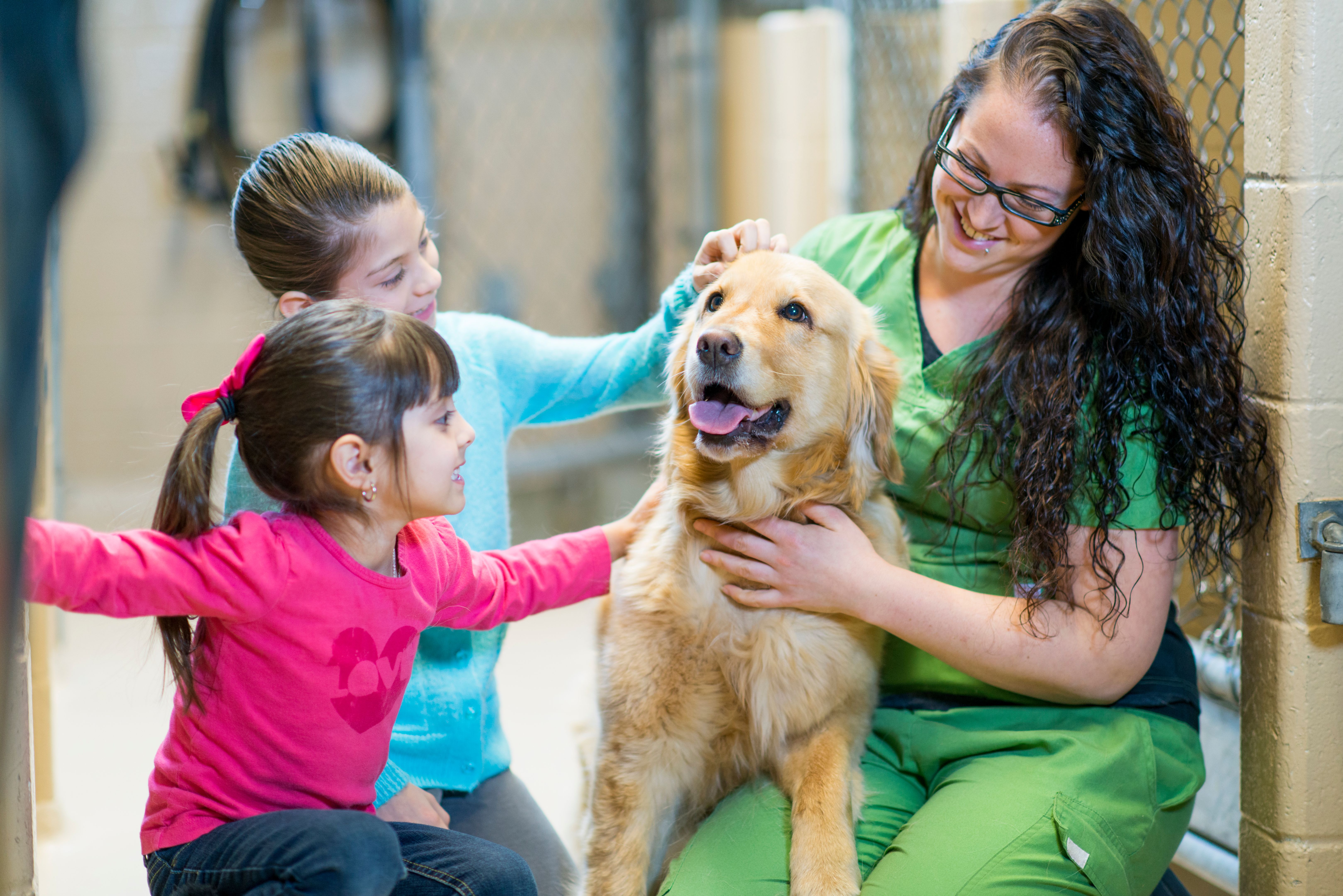 dog adoption