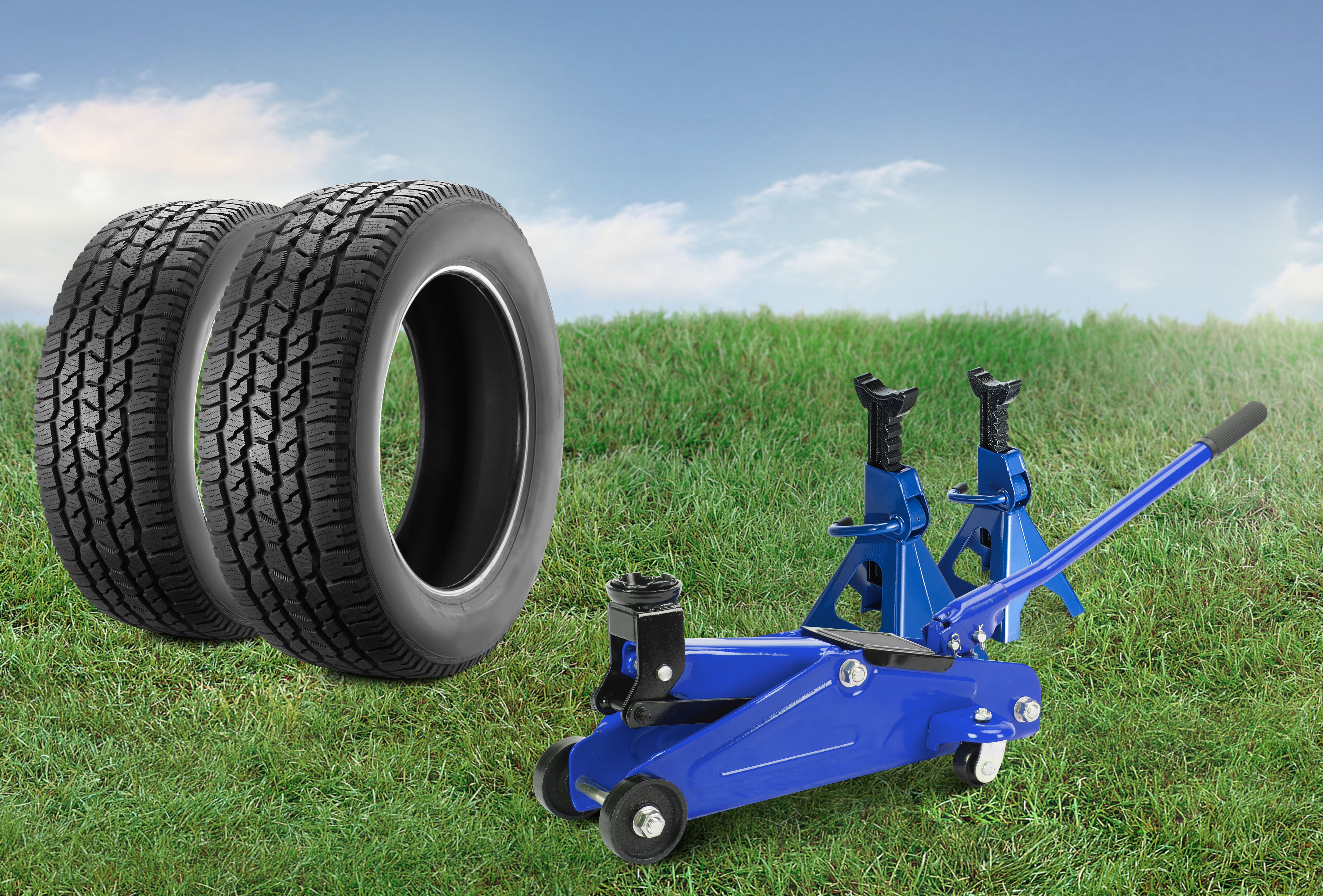 backyard transformation