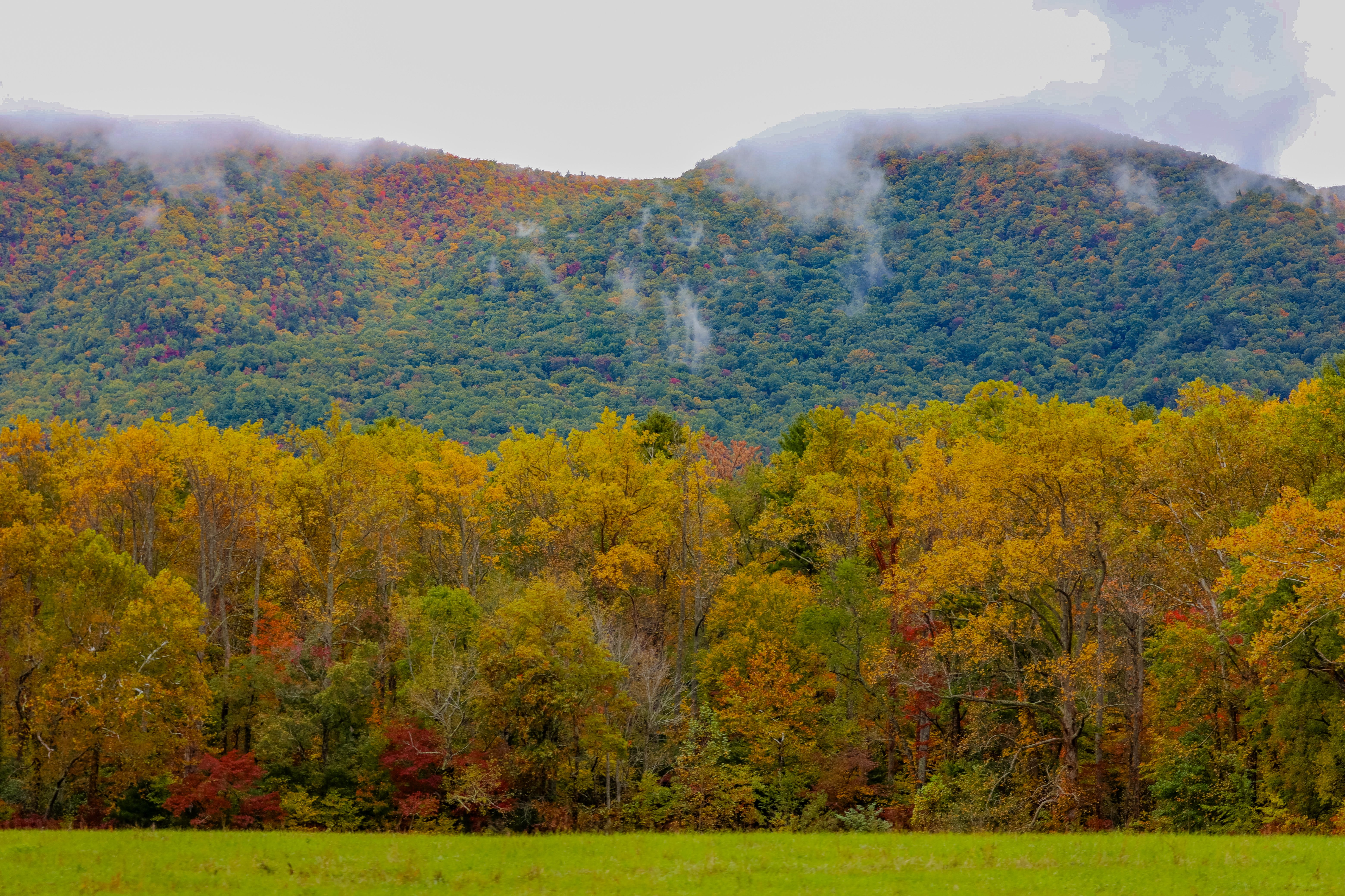 Fall colors in the Smokies