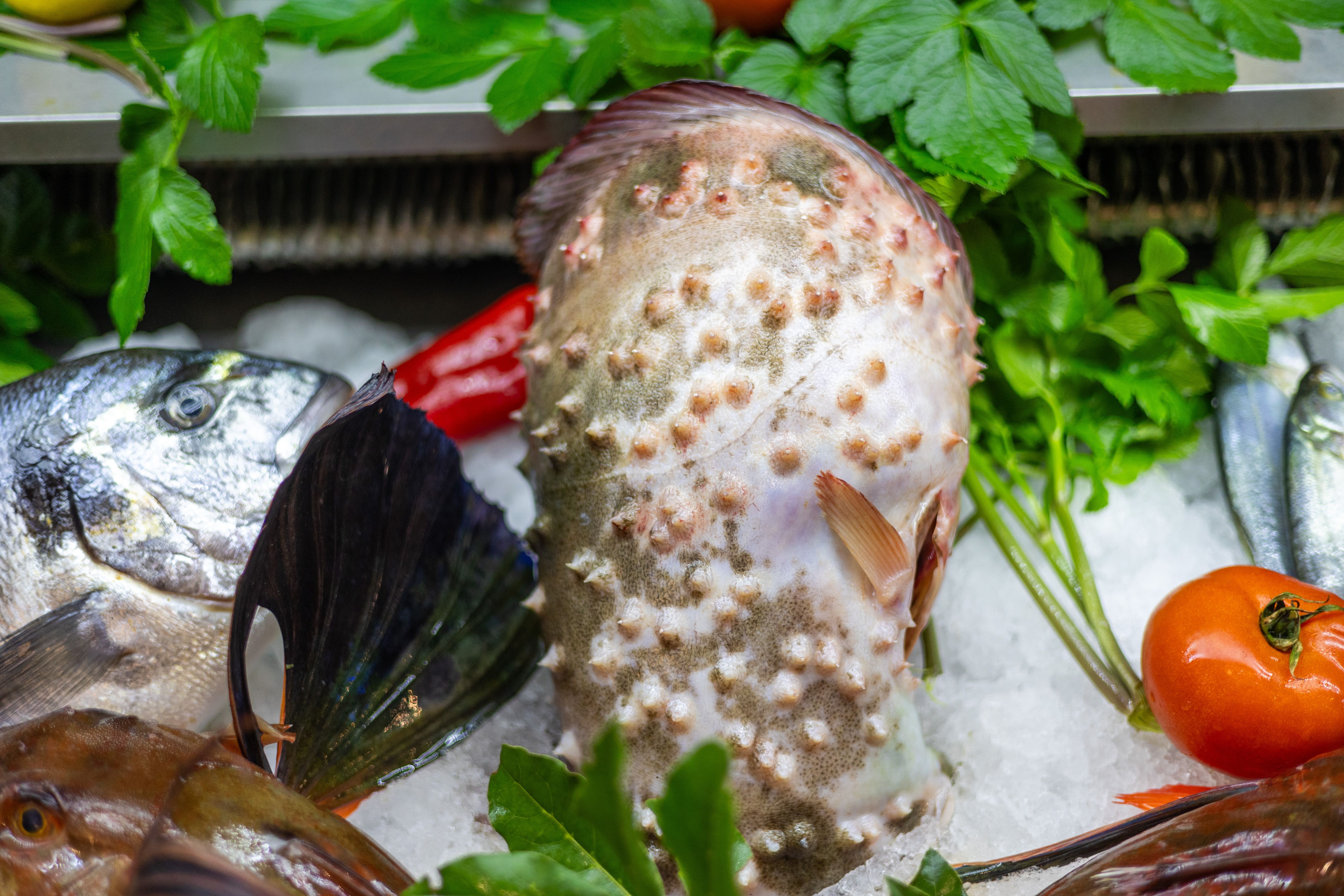refrigerated fish