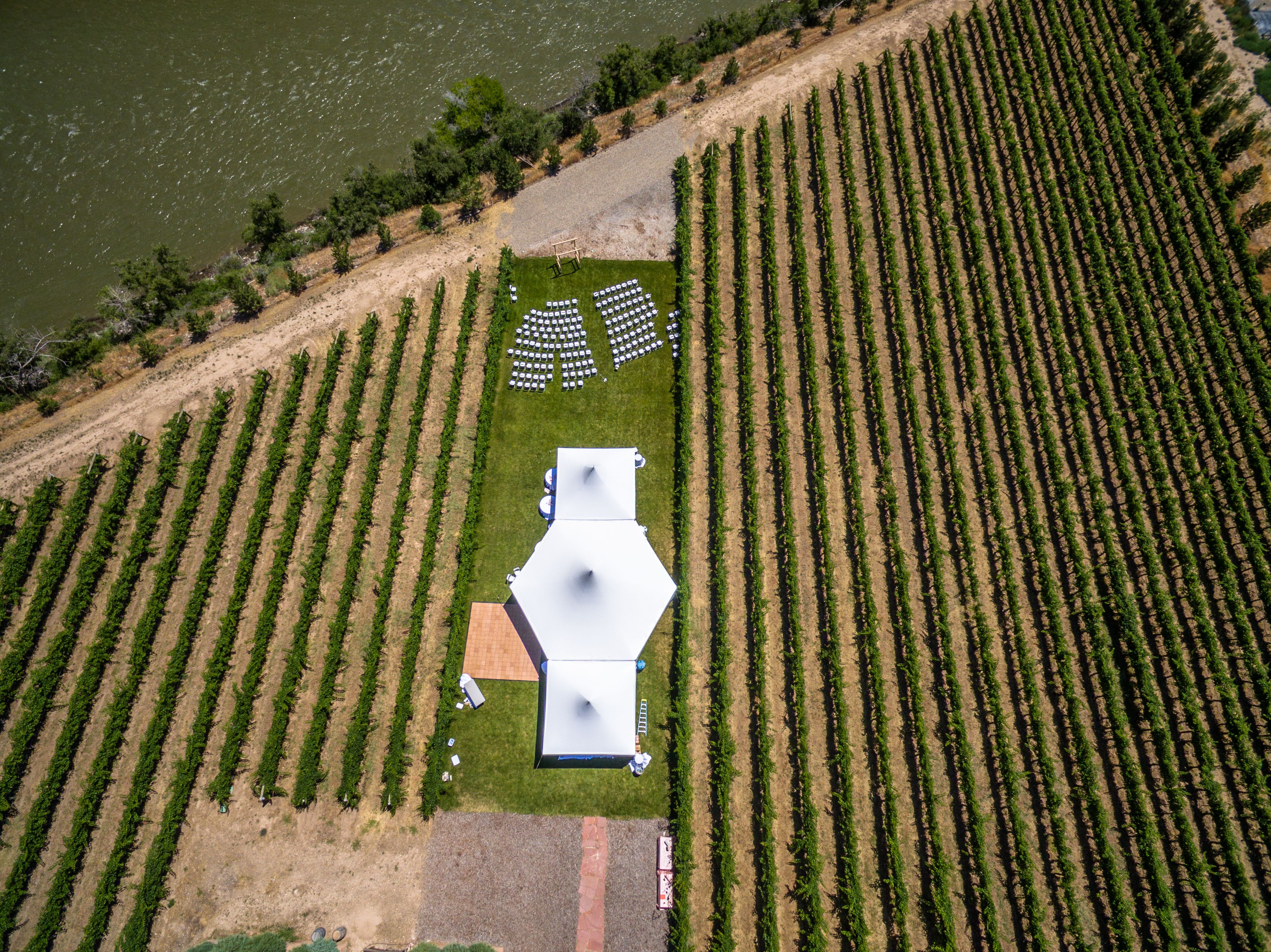 wedding venue vineyard