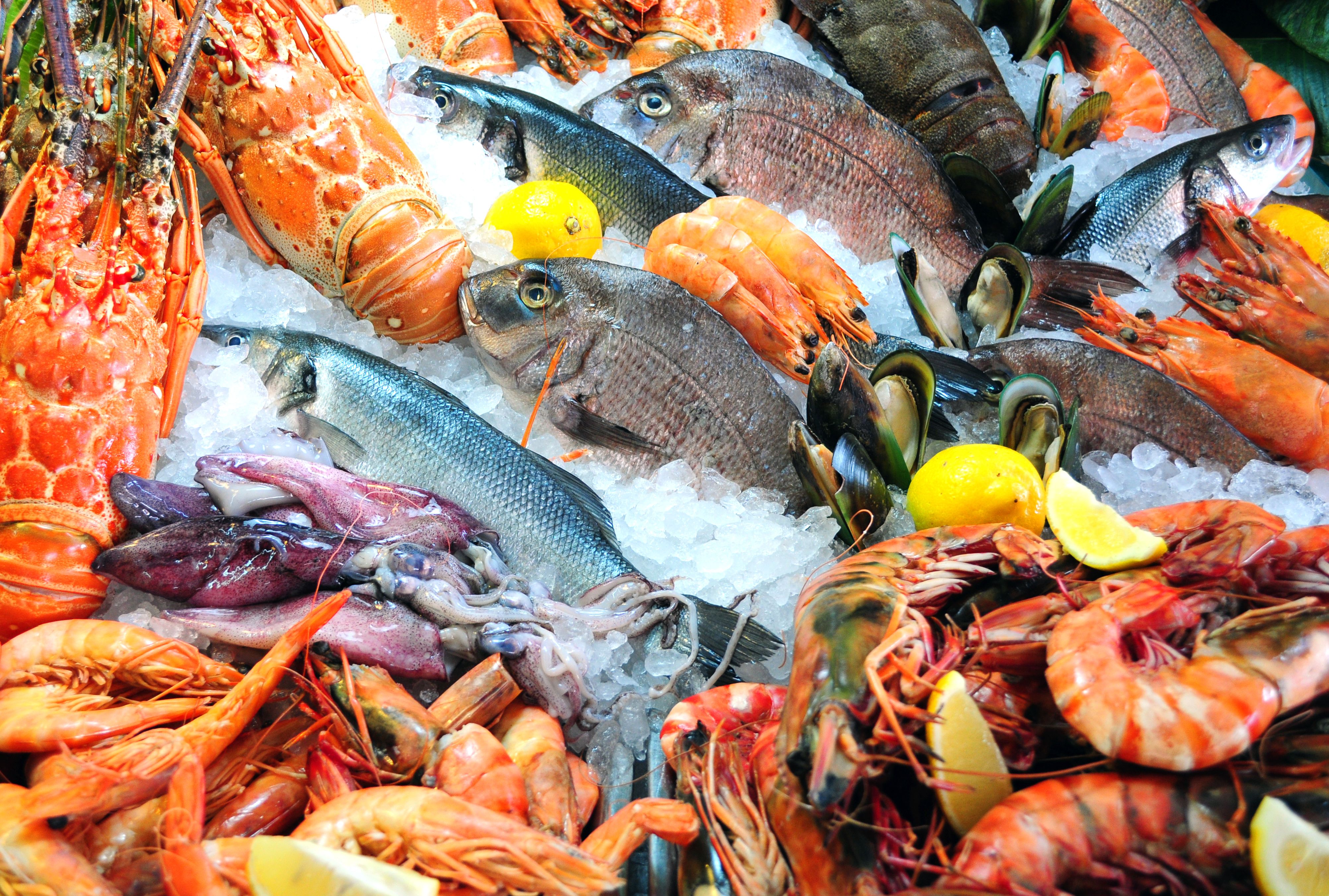 fresh seafood market