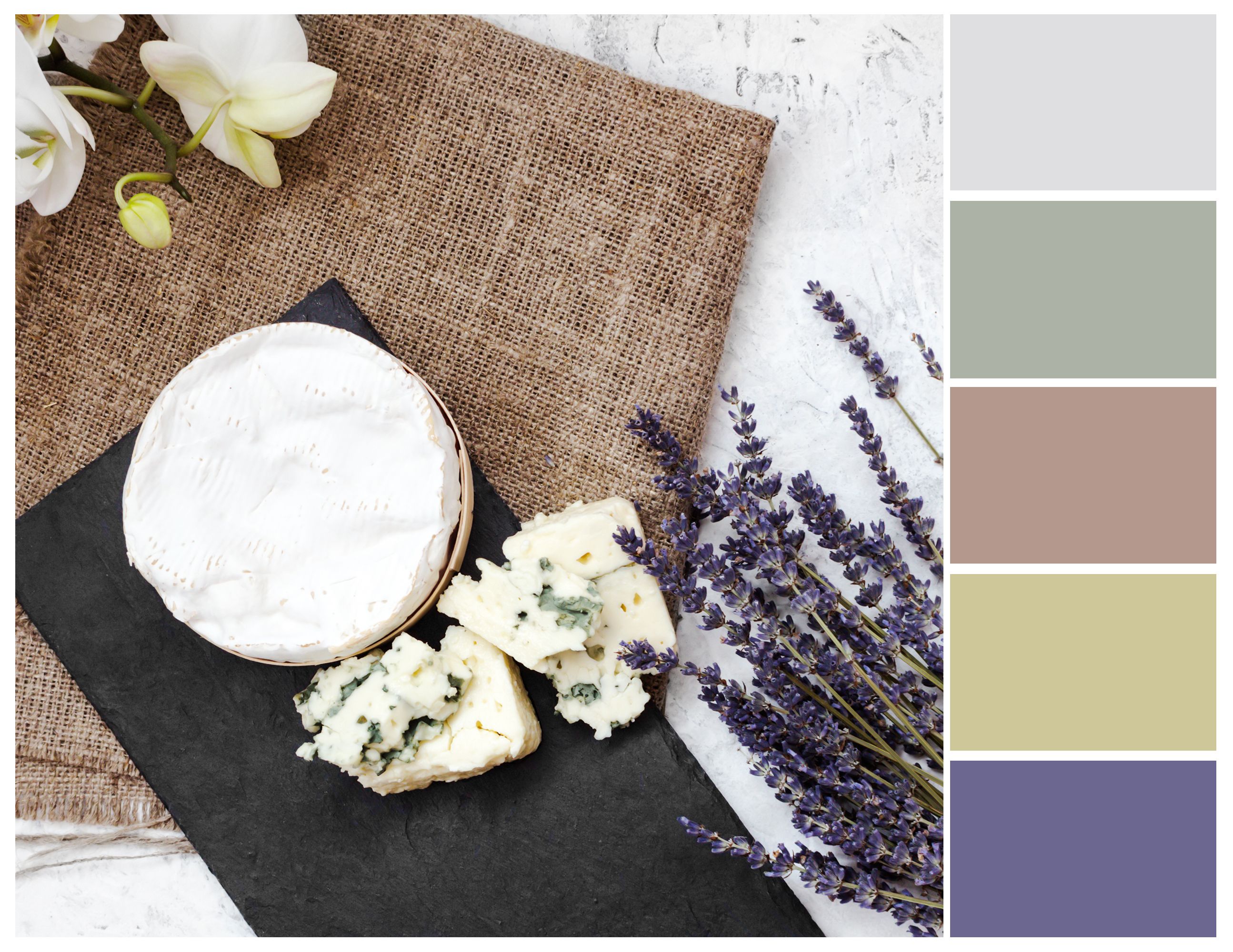 french color palette