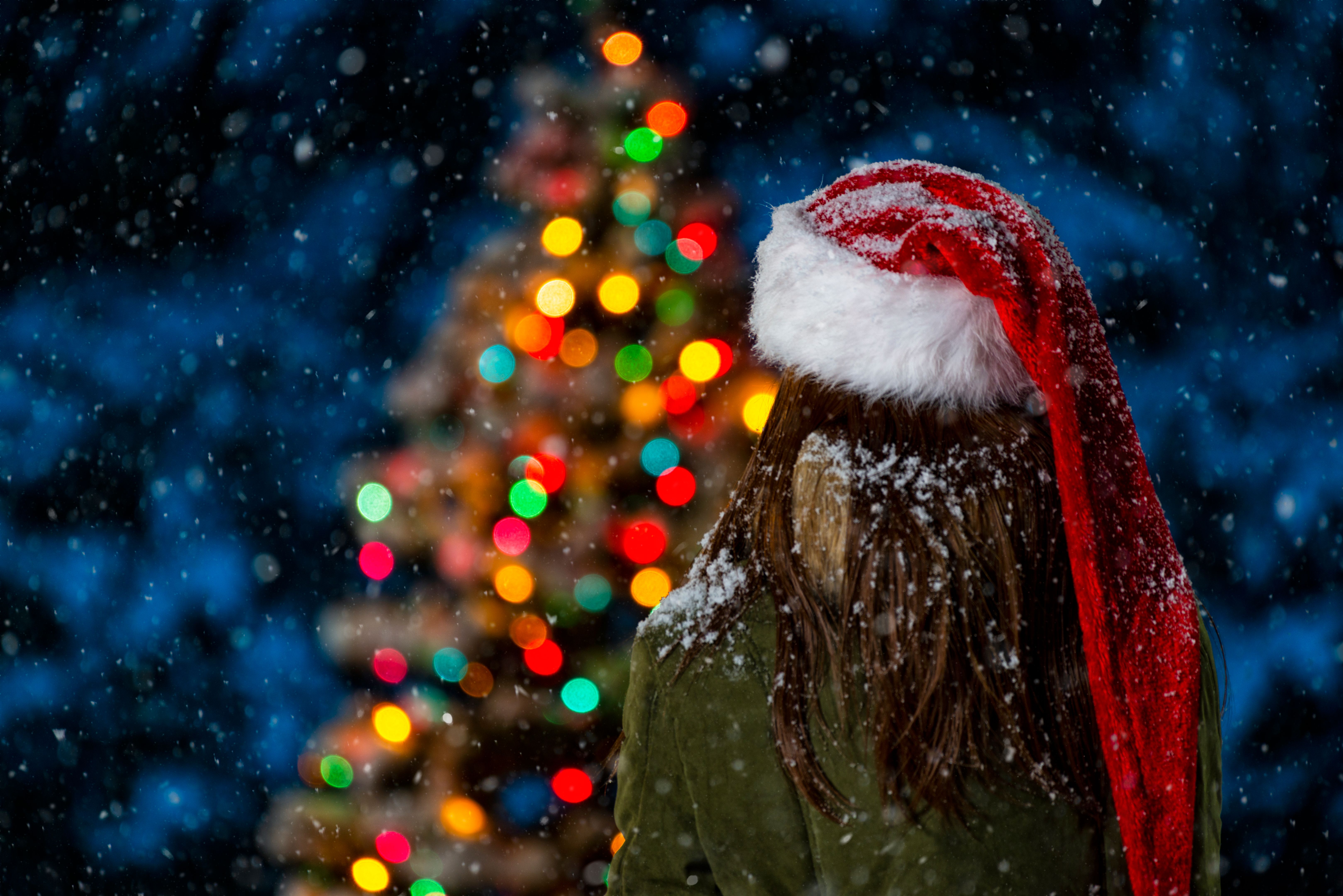 outdoor christmas lights