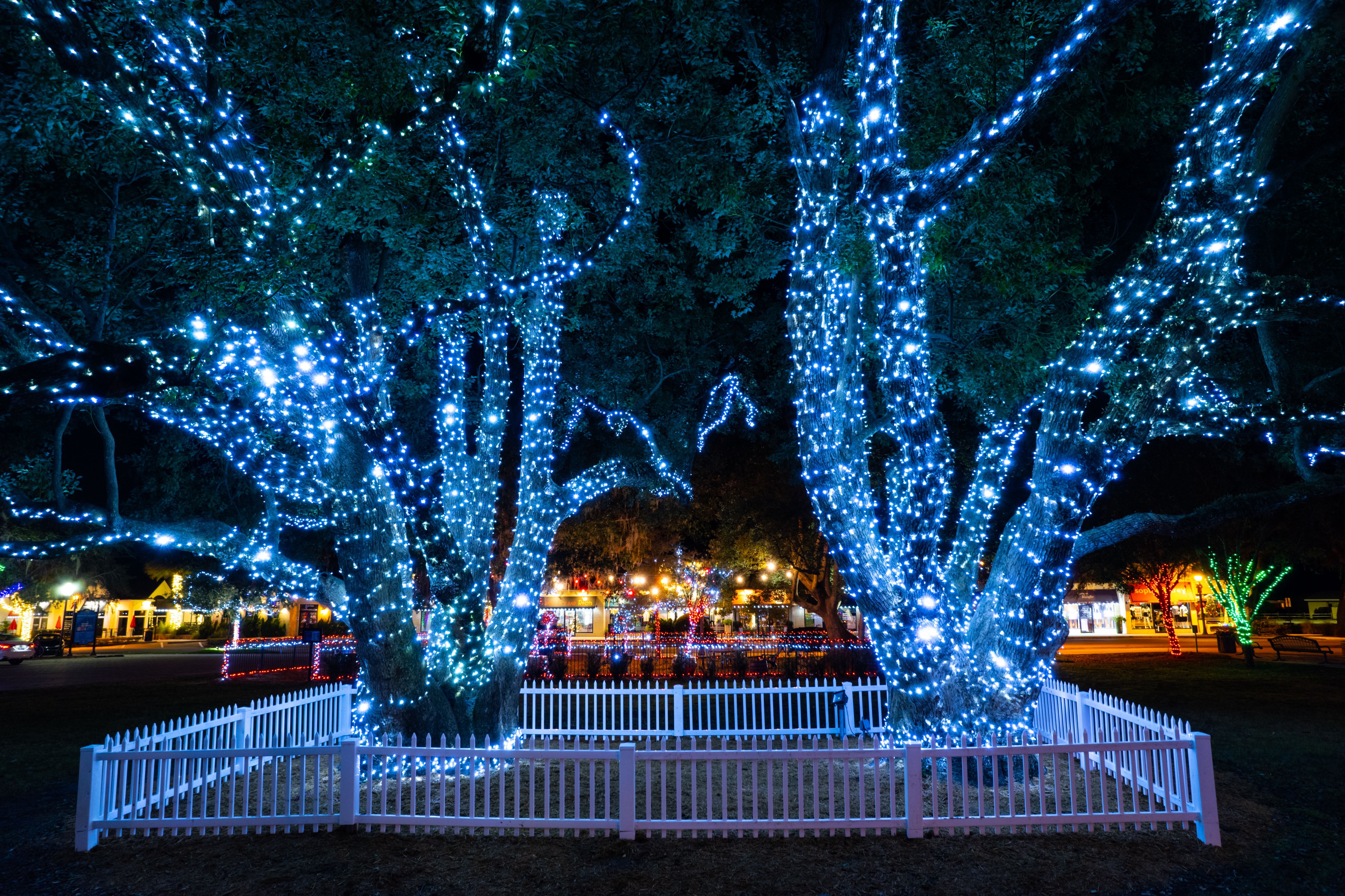 florida holiday lights