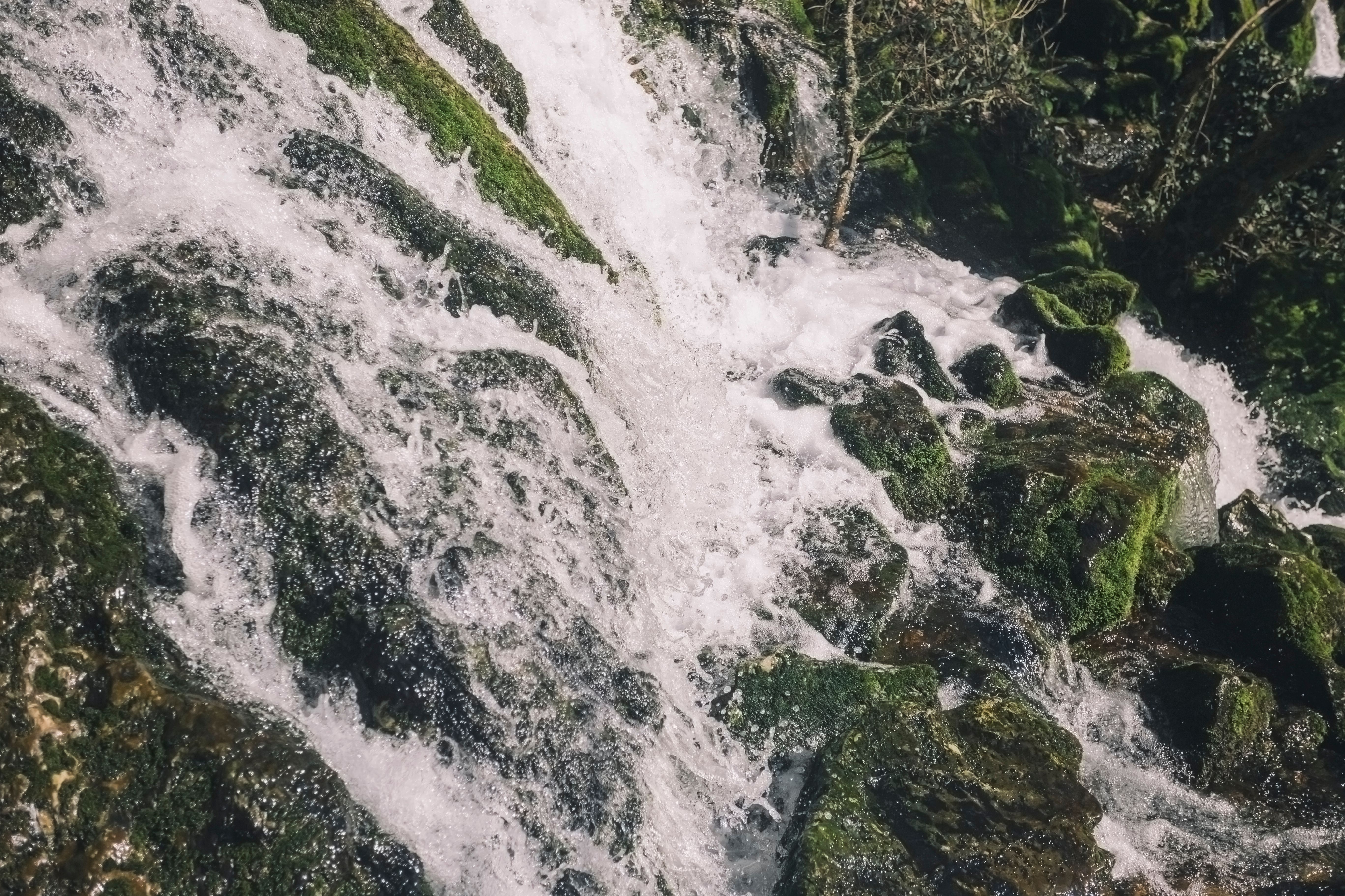 dripping springs nature